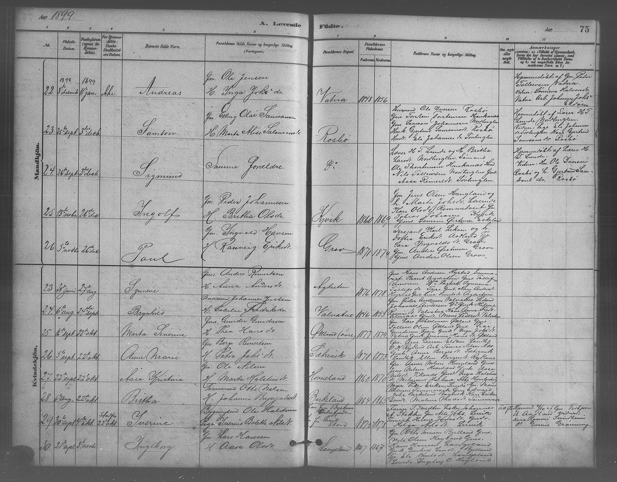 Stord sokneprestembete, AV/SAB-A-78201/H/Hab: Parish register (copy) no. A 2, 1879-1909, p. 75