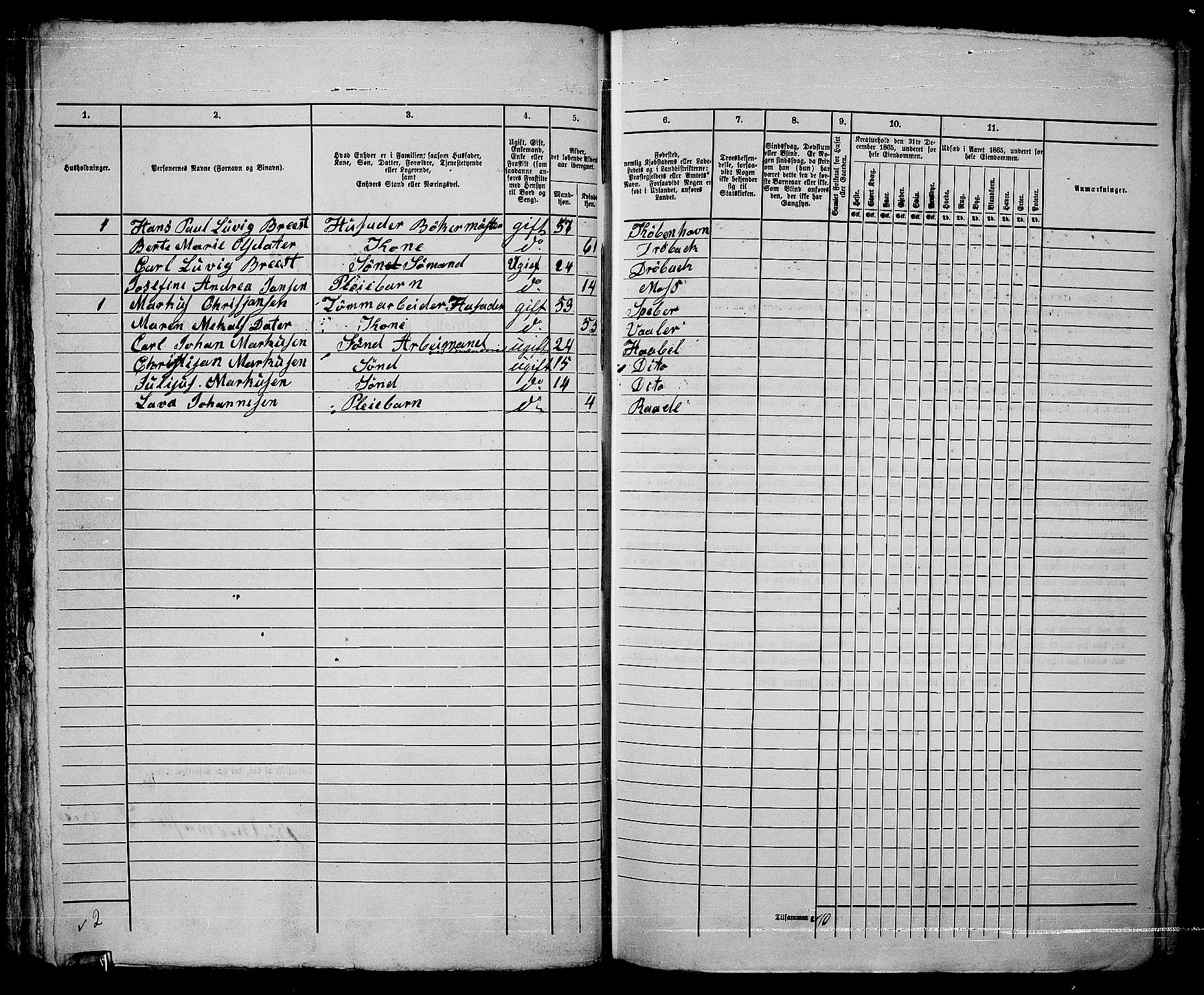RA, 1865 census for Moss/Moss, 1865, p. 425
