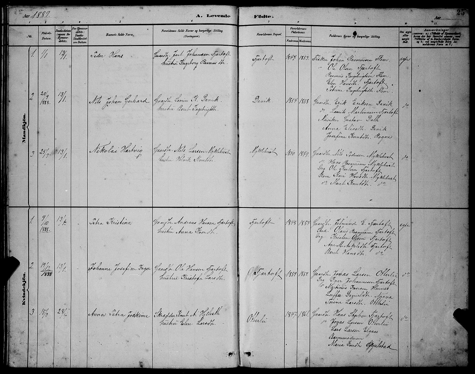 Ministerialprotokoller, klokkerbøker og fødselsregistre - Møre og Romsdal, SAT/A-1454/538/L0523: Parish register (copy) no. 538C01, 1881-1900, p. 25