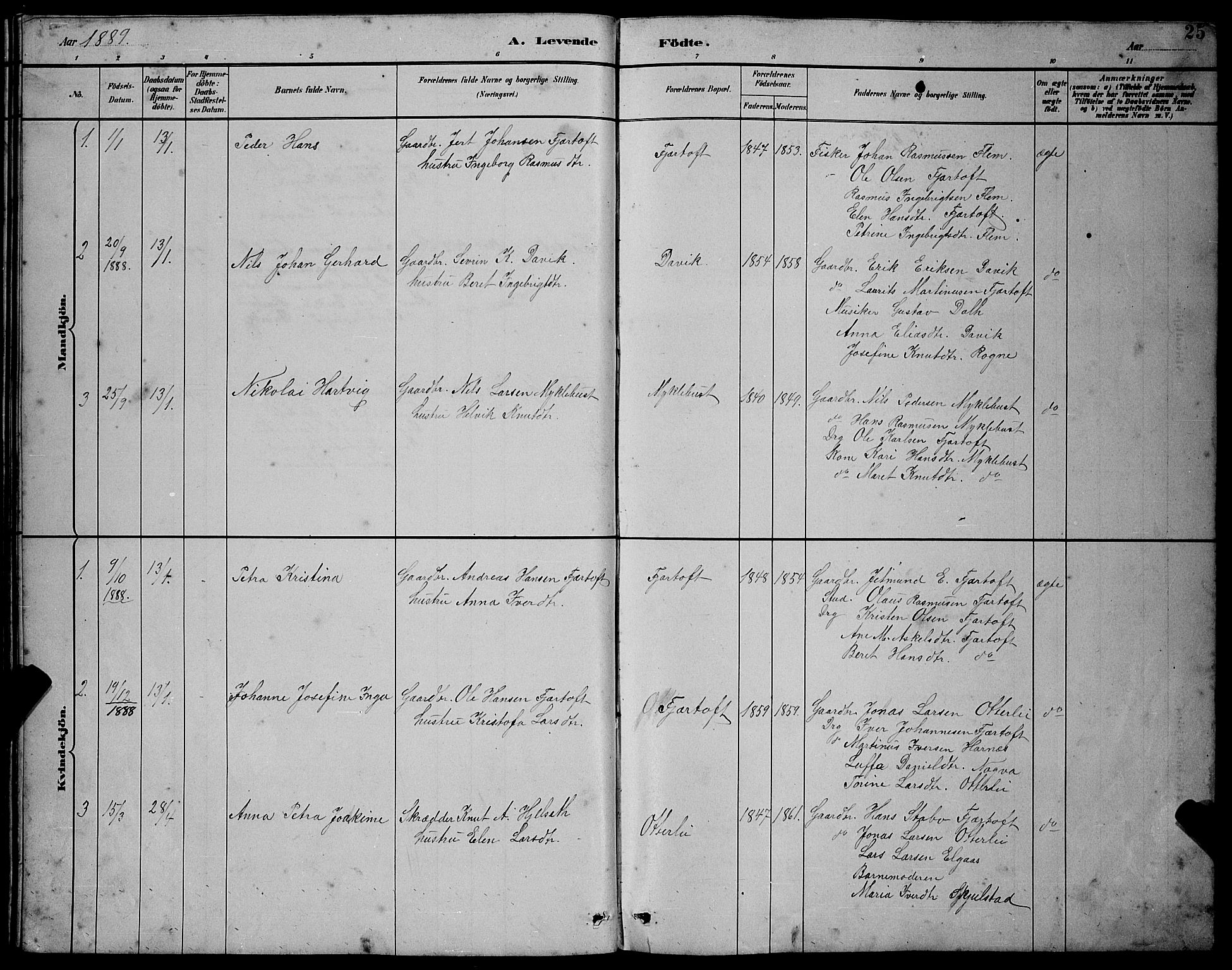 Ministerialprotokoller, klokkerbøker og fødselsregistre - Møre og Romsdal, AV/SAT-A-1454/538/L0523: Parish register (copy) no. 538C01, 1881-1900, p. 25