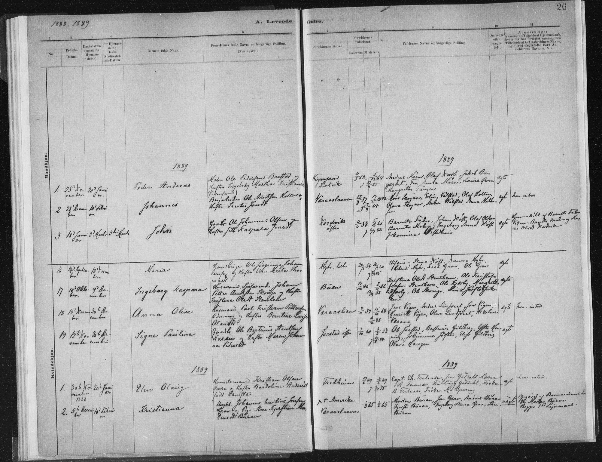 Ministerialprotokoller, klokkerbøker og fødselsregistre - Nord-Trøndelag, SAT/A-1458/722/L0220: Parish register (official) no. 722A07, 1881-1908, p. 26