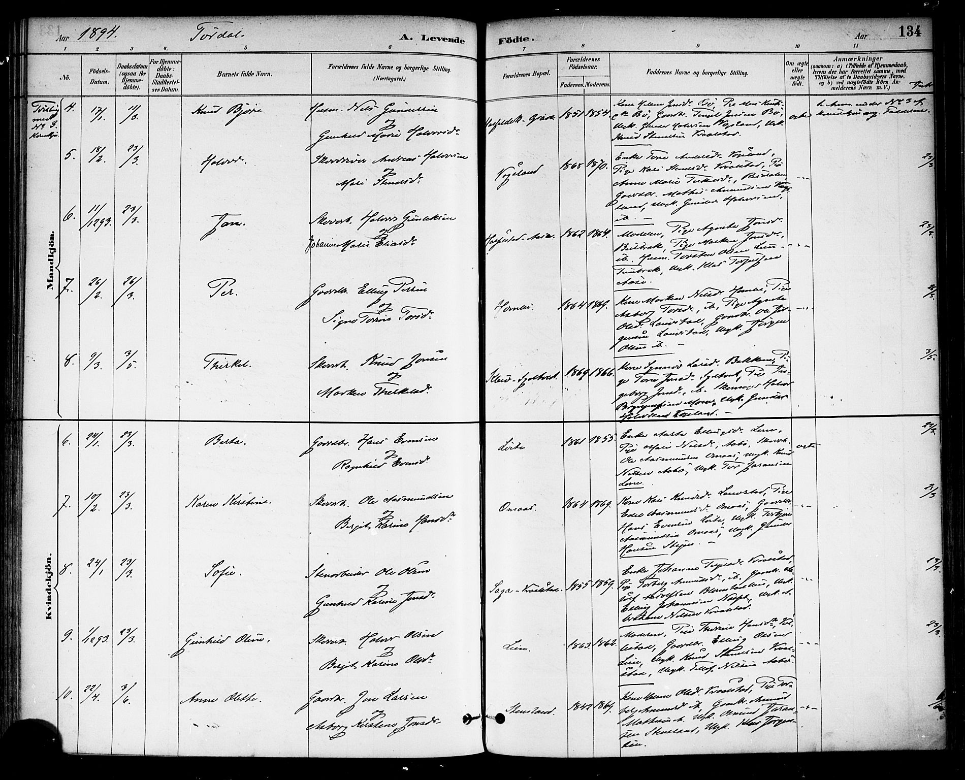 Drangedal kirkebøker, SAKO/A-258/F/Fa/L0010: Parish register (official) no. 10 /2, 1885-1894, p. 134
