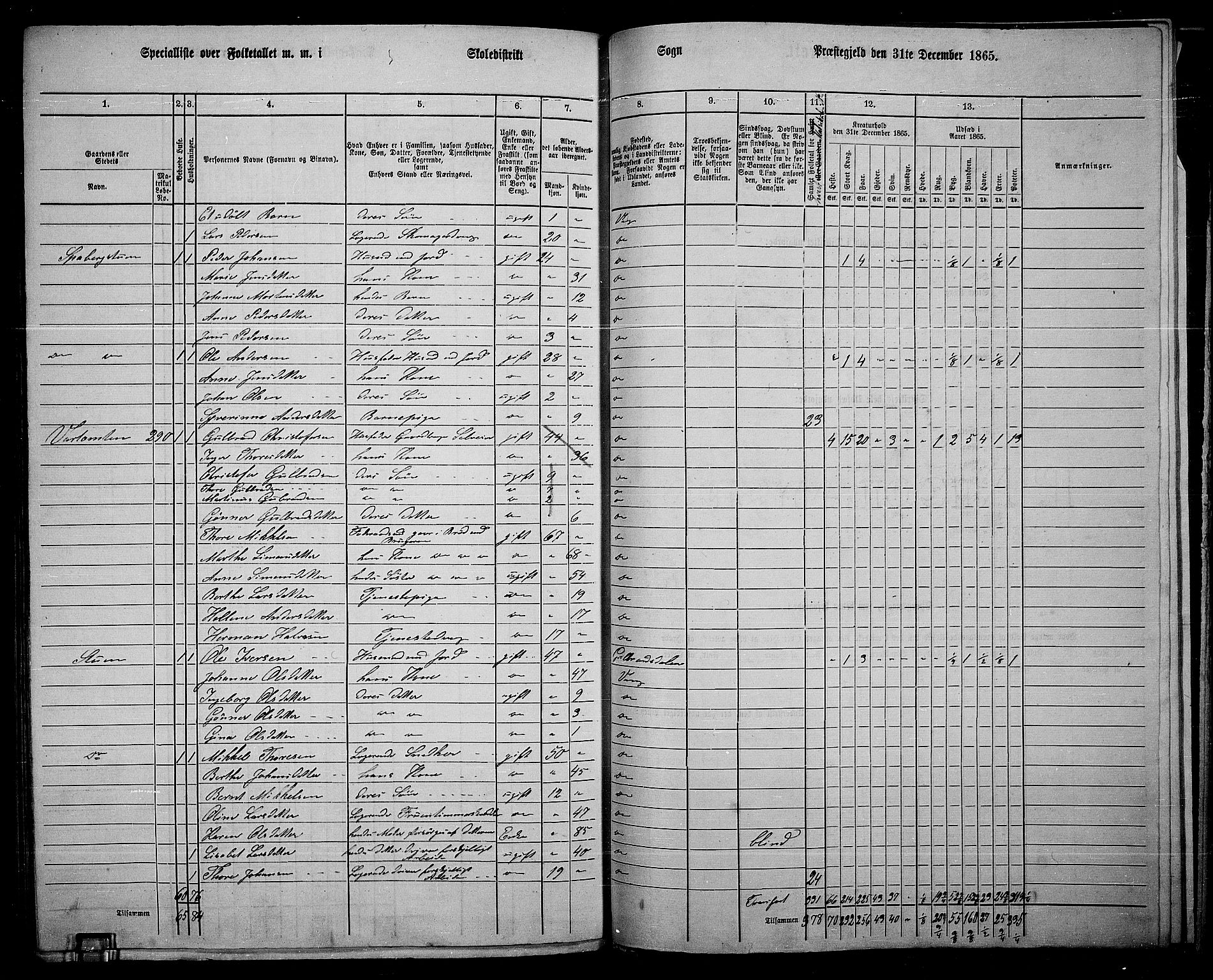 RA, 1865 census for Vang/Vang og Furnes, 1865, p. 305