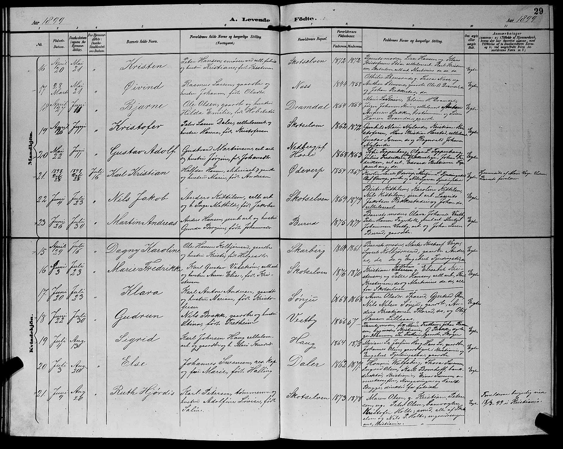 Eiker kirkebøker, SAKO/A-4/G/Gb/L0004: Parish register (copy) no. II 4, 1894-1900, p. 29