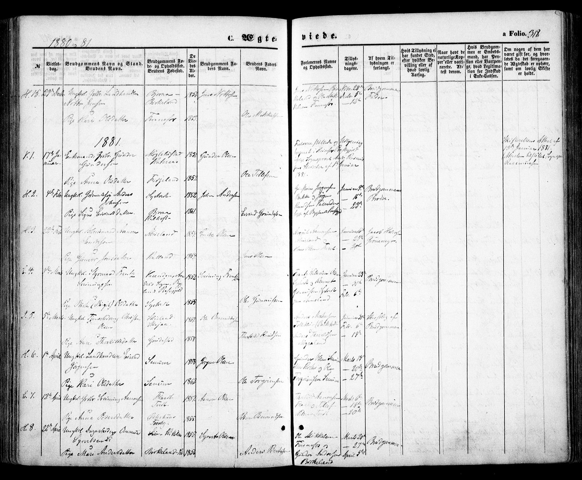 Evje sokneprestkontor, SAK/1111-0008/F/Fa/Faa/L0006: Parish register (official) no. A 6, 1866-1884, p. 318