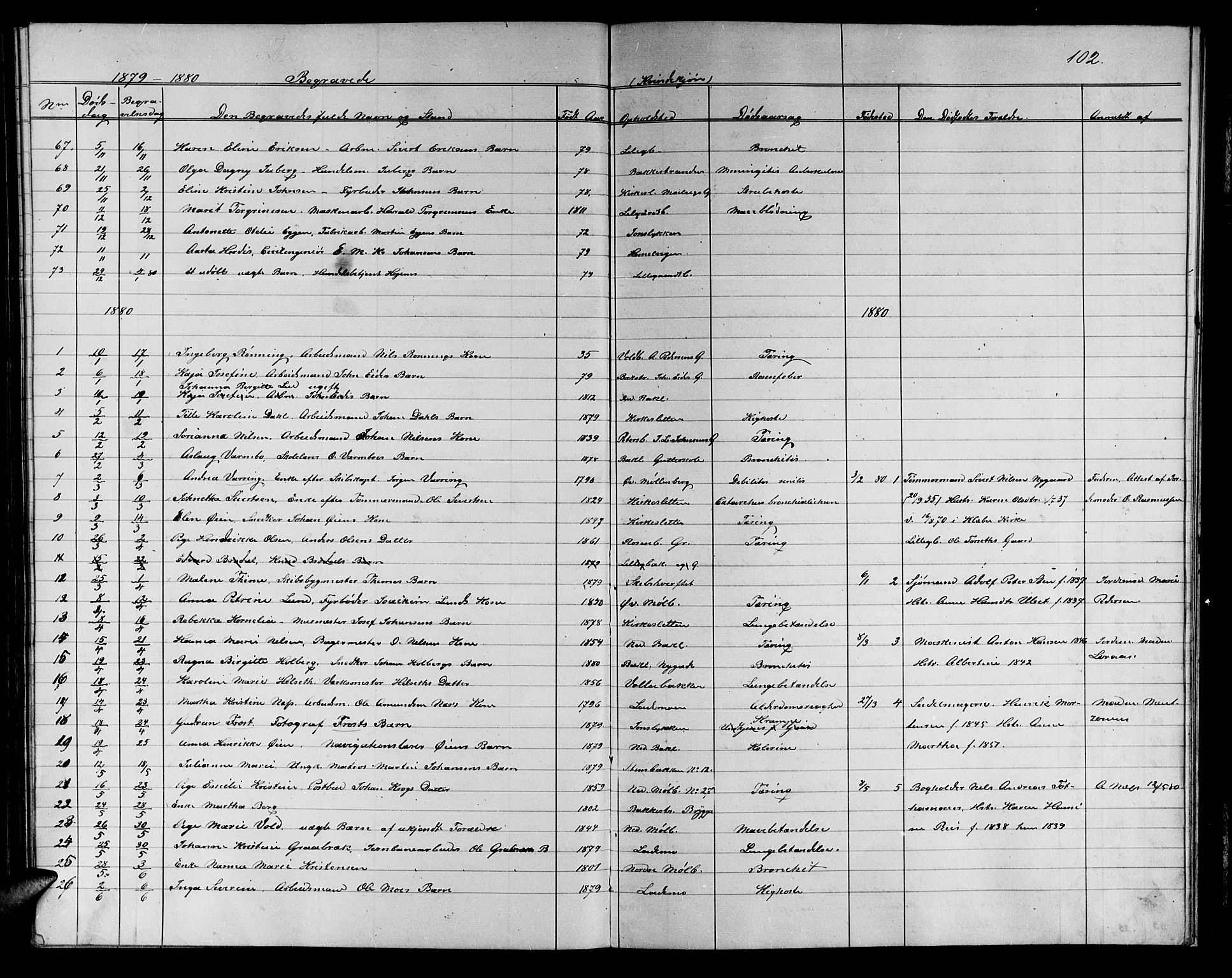 Ministerialprotokoller, klokkerbøker og fødselsregistre - Sør-Trøndelag, SAT/A-1456/604/L0221: Parish register (copy) no. 604C04, 1870-1885, p. 102