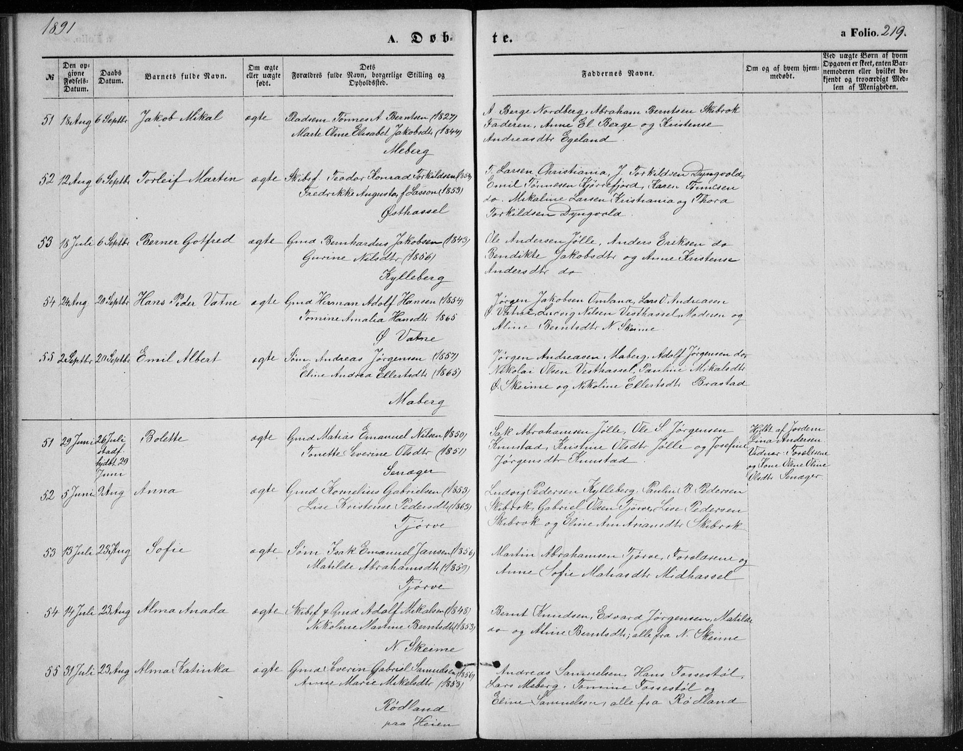 Lista sokneprestkontor, AV/SAK-1111-0027/F/Fb/L0004: Parish register (copy) no. B 4, 1877-1891, p. 219