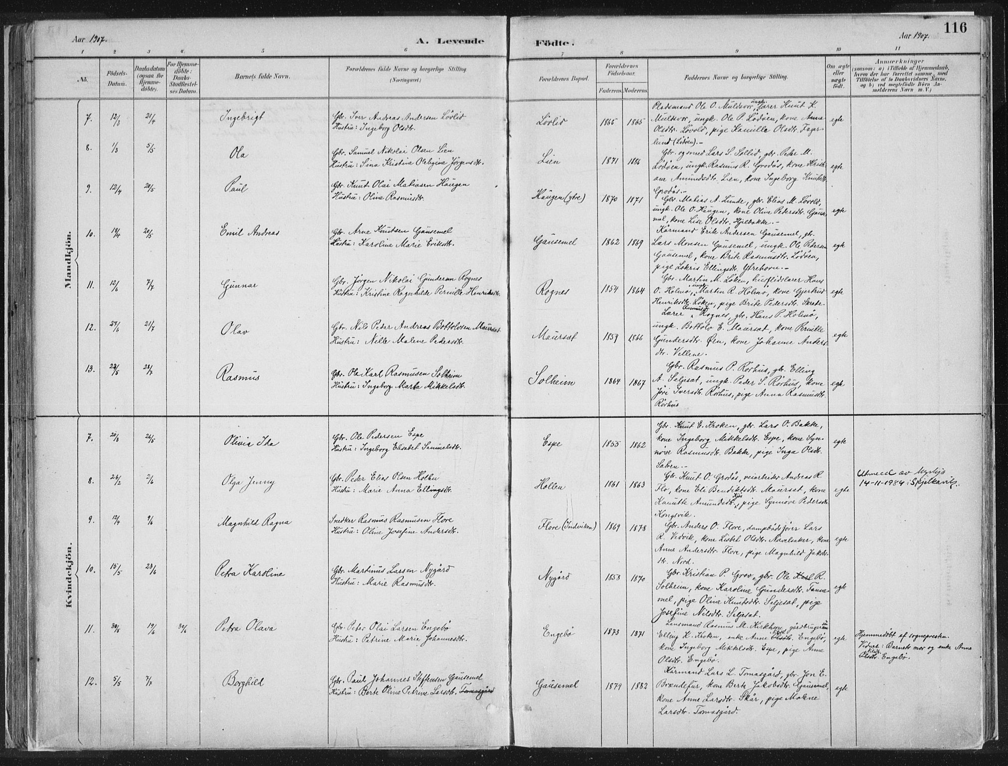 Hornindal sokneprestembete, SAB/A-82401/H/Haa/Haaa/L0003/0001: Parish register (official) no. A 3A, 1887-1917, p. 116