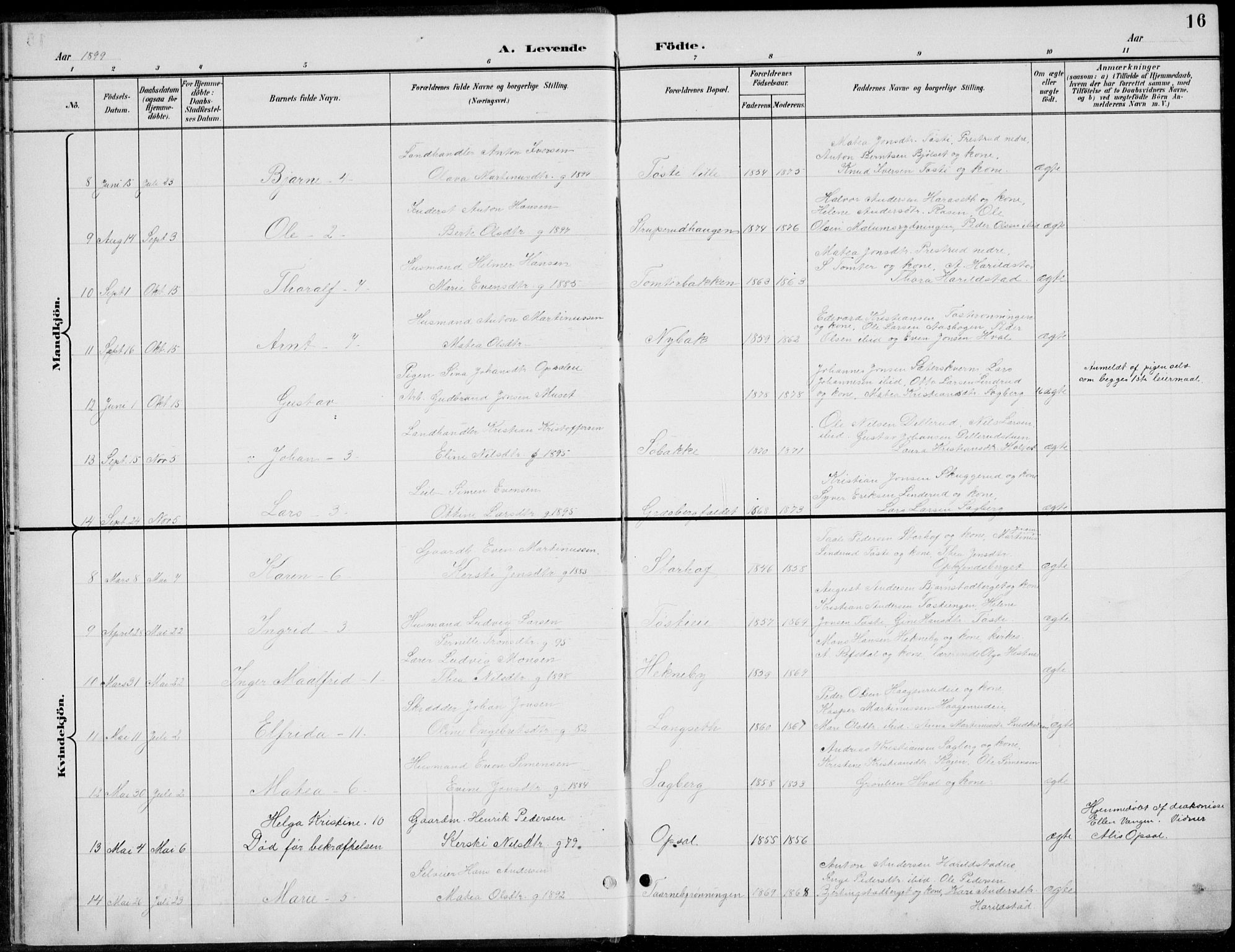 Romedal prestekontor, AV/SAH-PREST-004/L/L0013: Parish register (copy) no. 13, 1896-1937, p. 16