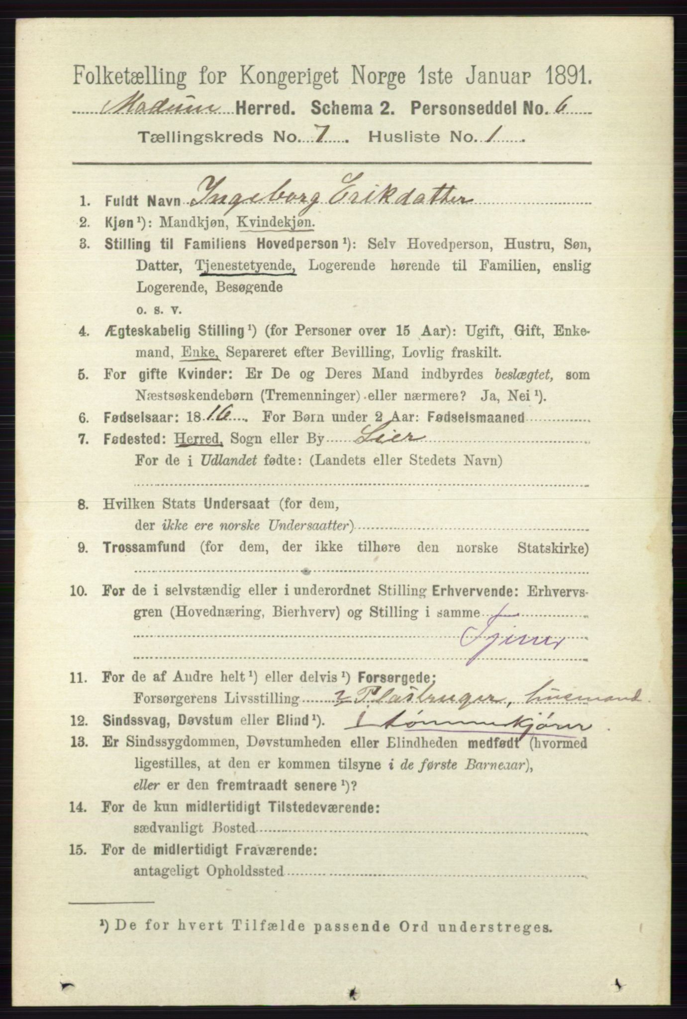 RA, 1891 census for 0623 Modum, 1891, p. 2732