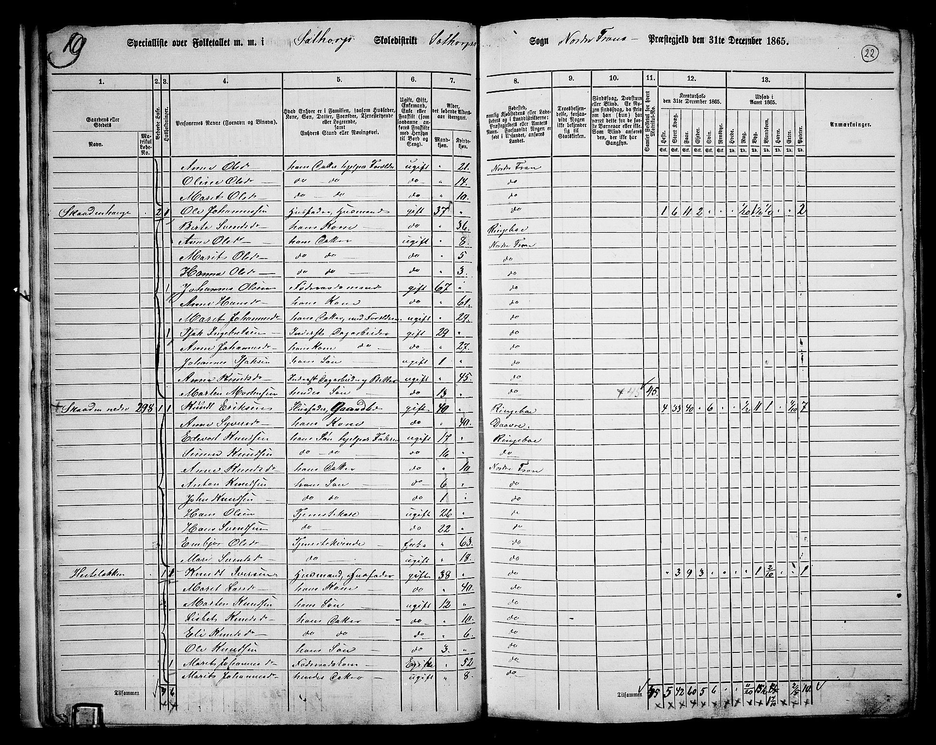 RA, 1865 census for Nord-Fron, 1865, p. 21