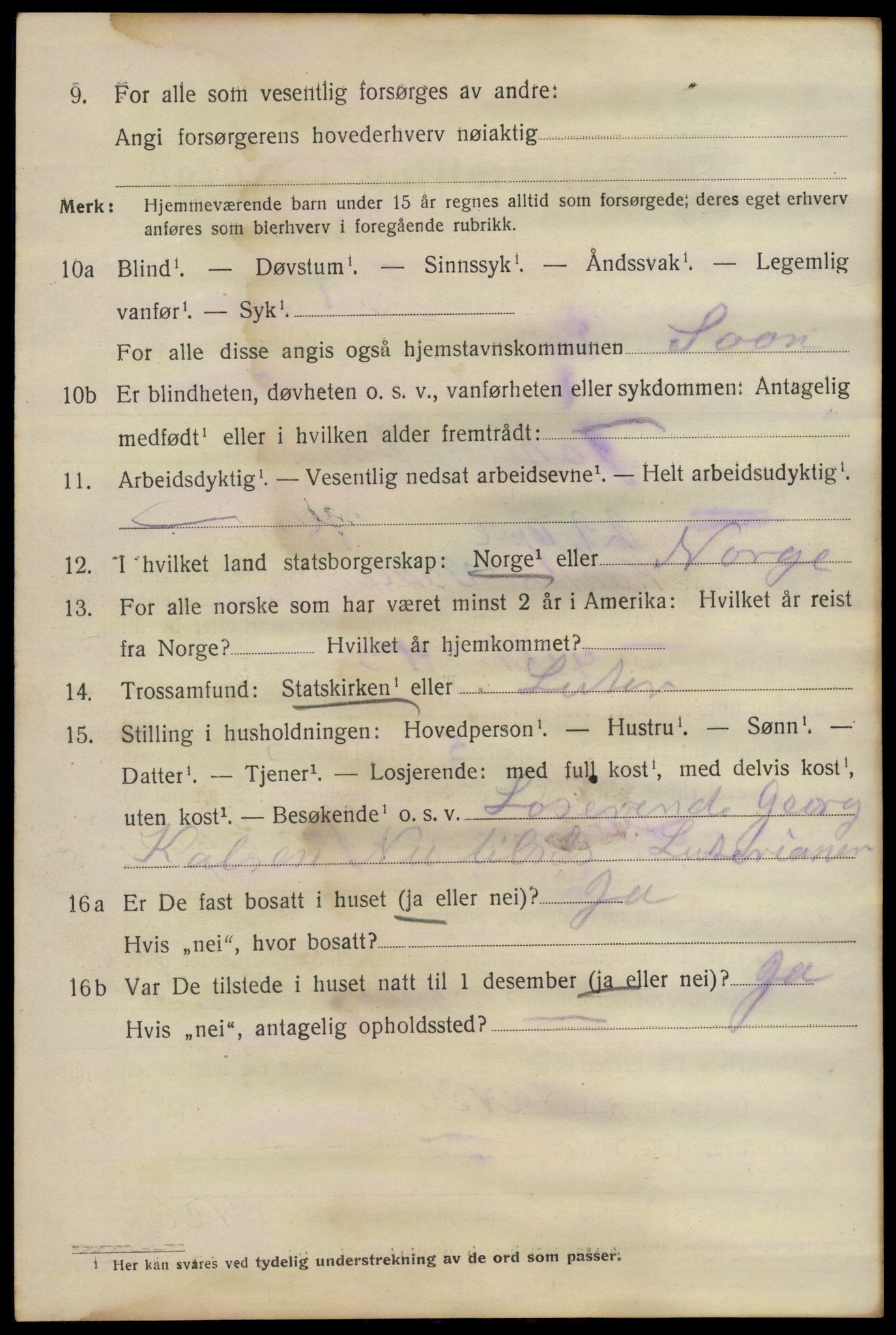 SAO, 1920 census for Son, 1920, p. 1133