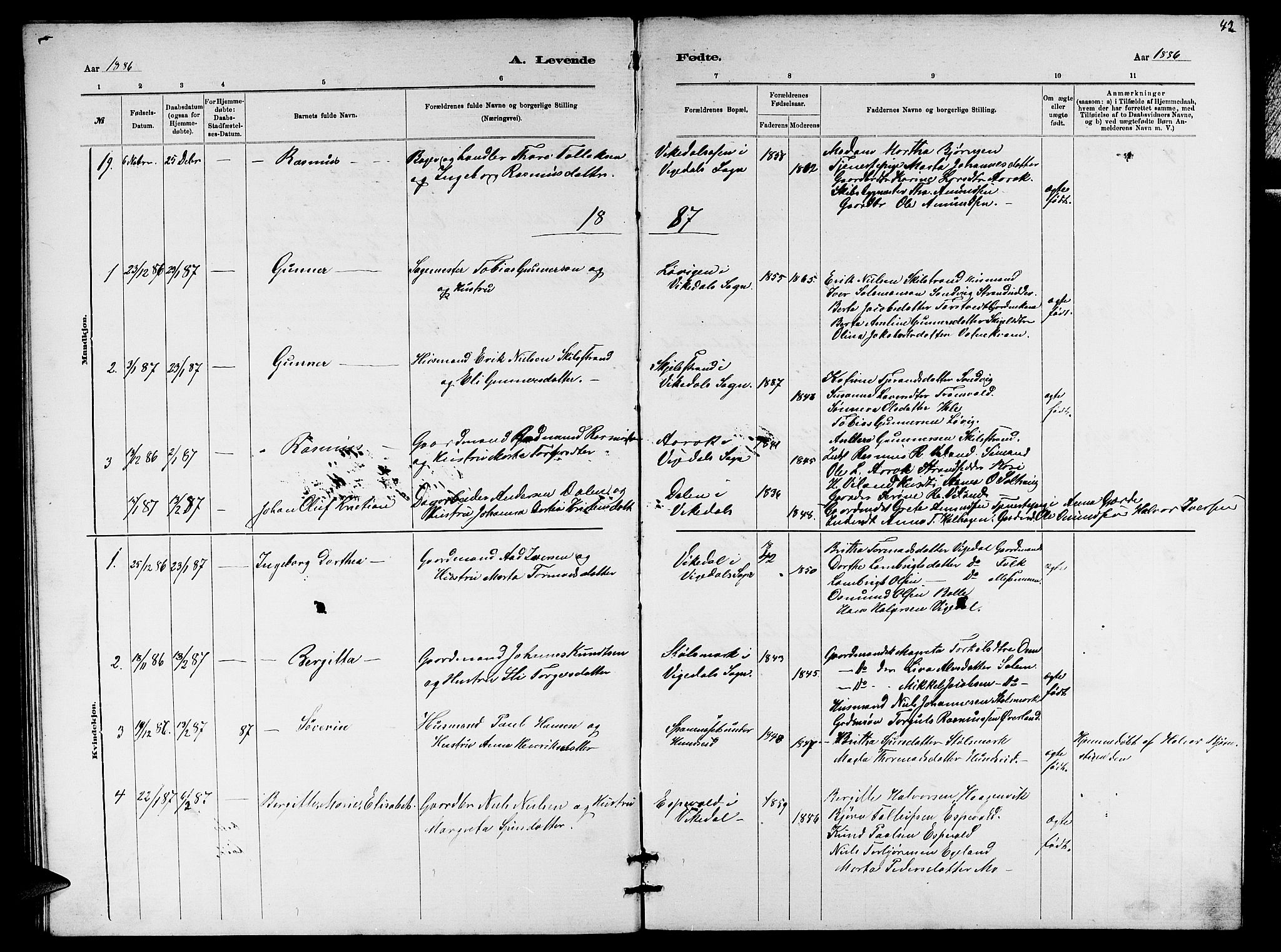 Vikedal sokneprestkontor, AV/SAST-A-101840/01/V: Parish register (copy) no. B 5, 1878-1888, p. 43