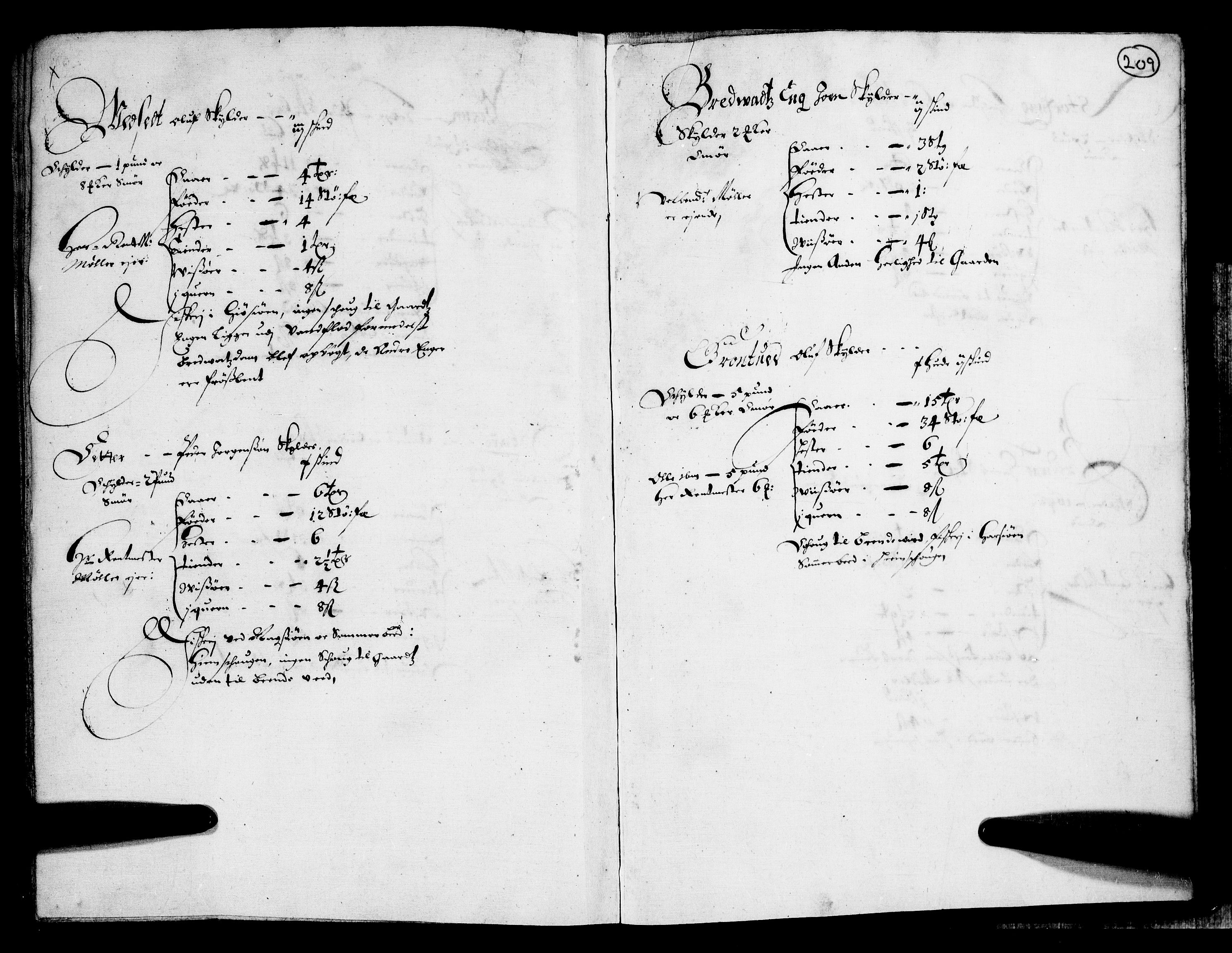 Rentekammeret inntil 1814, Realistisk ordnet avdeling, AV/RA-EA-4070/N/Nb/Nba/L0011: Odal, Solør og Østerdalen fogderi, 1667, p. 208b-209a