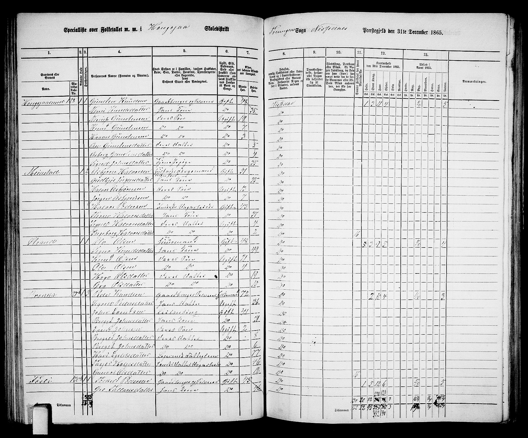 RA, 1865 census for Nissedal, 1865, p. 81