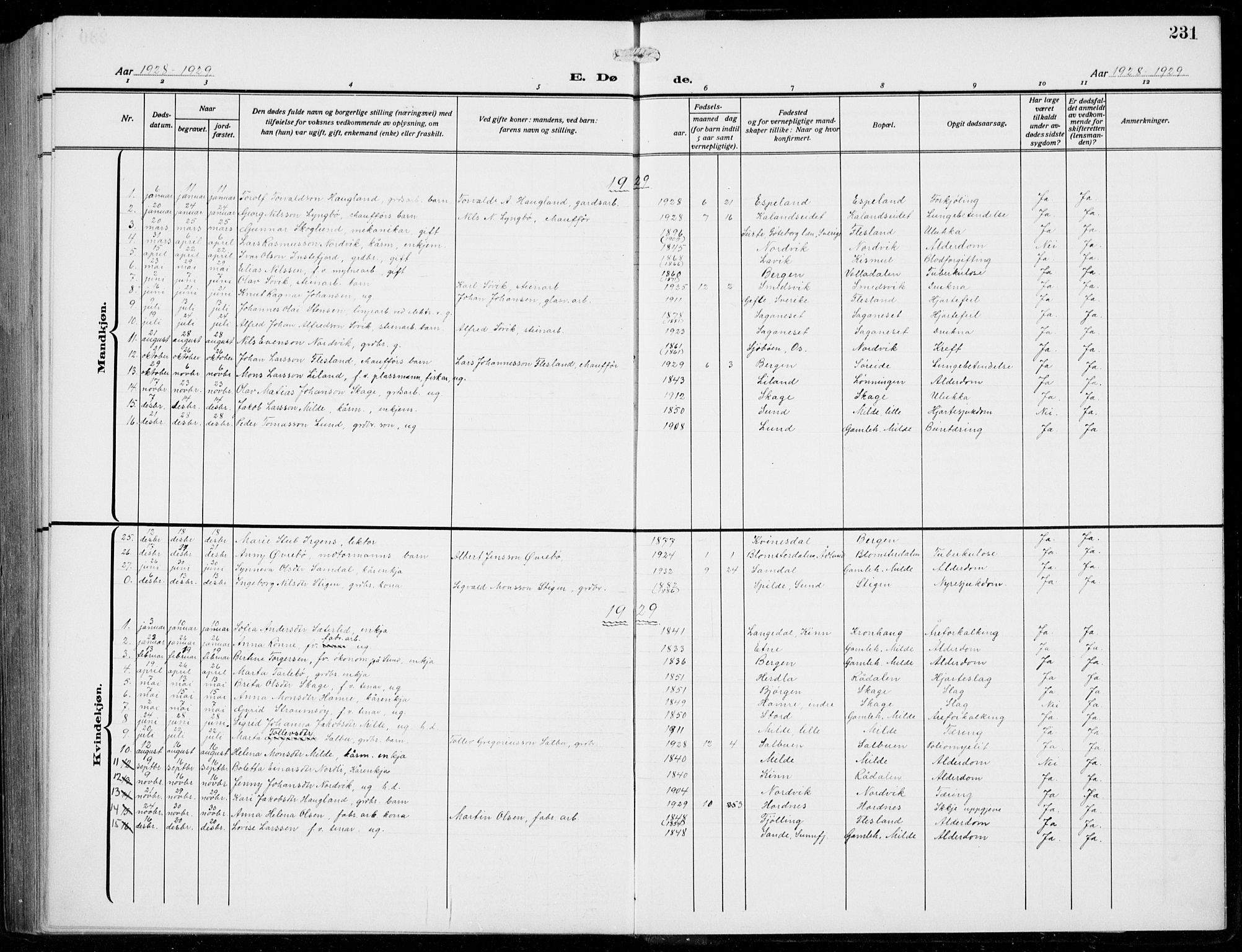 Fana Sokneprestembete, SAB/A-75101/H/Hab/Haba/L0005: Parish register (copy) no. A 5, 1911-1932, p. 231