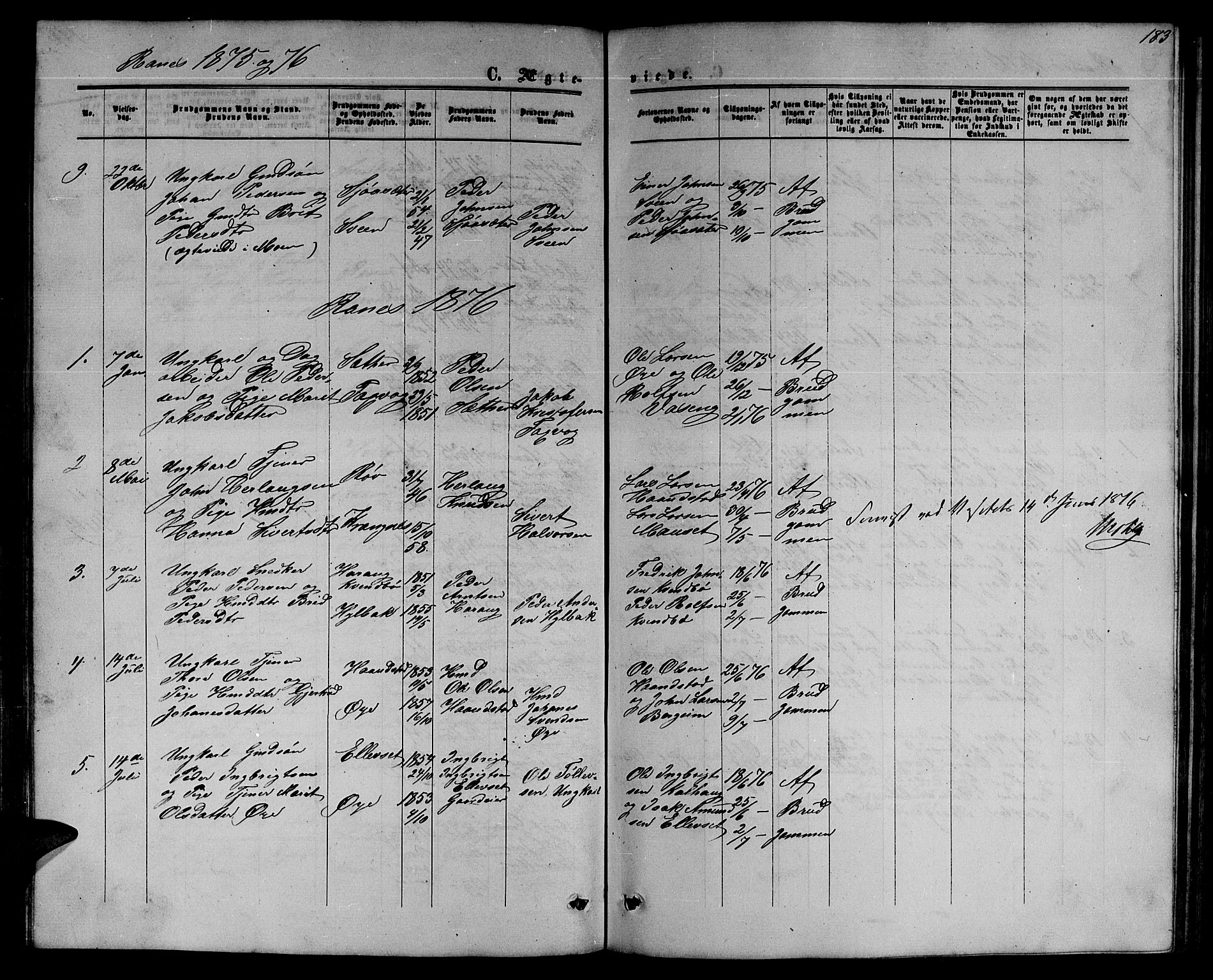 Ministerialprotokoller, klokkerbøker og fødselsregistre - Møre og Romsdal, SAT/A-1454/595/L1051: Parish register (copy) no. 595C03, 1866-1891, p. 183