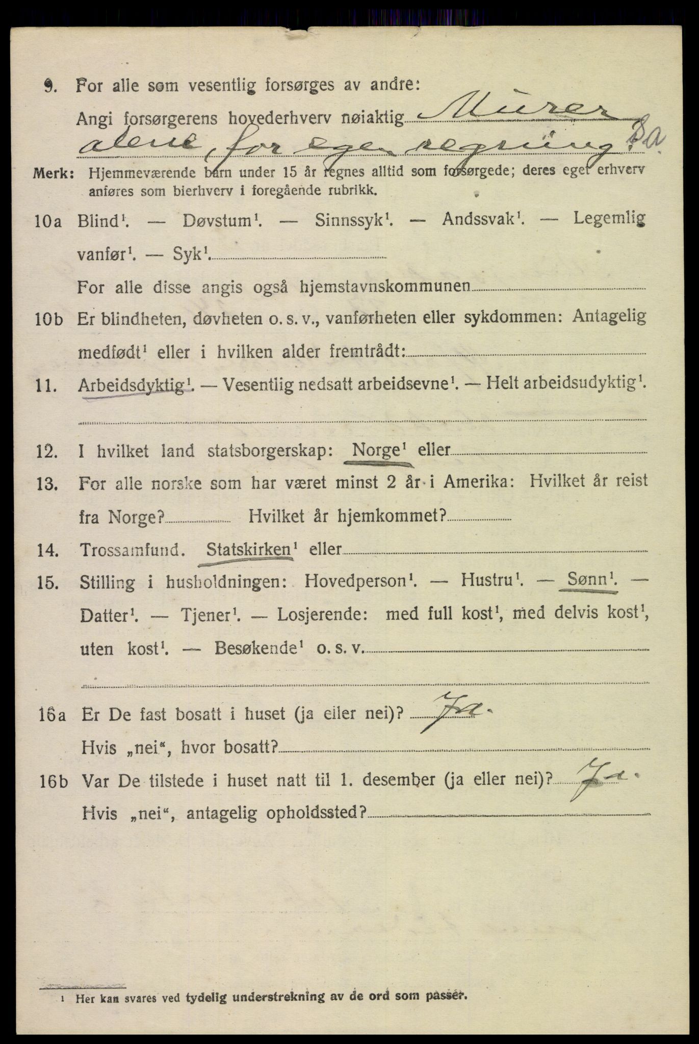 SAH, 1920 census for Ringsaker, 1920, p. 9701