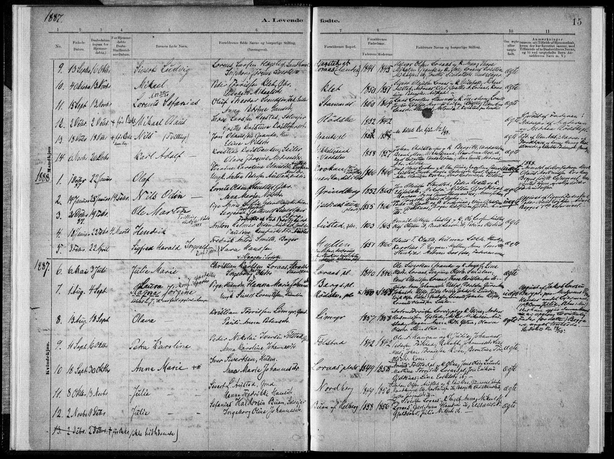 Ministerialprotokoller, klokkerbøker og fødselsregistre - Nord-Trøndelag, SAT/A-1458/731/L0309: Parish register (official) no. 731A01, 1879-1918, p. 15