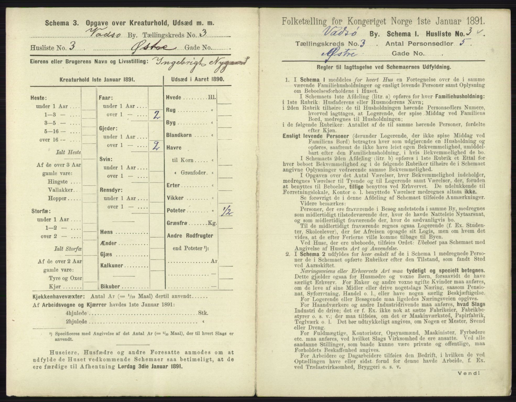 RA, 1891 census for 2003 Vadsø, 1891, p. 1590