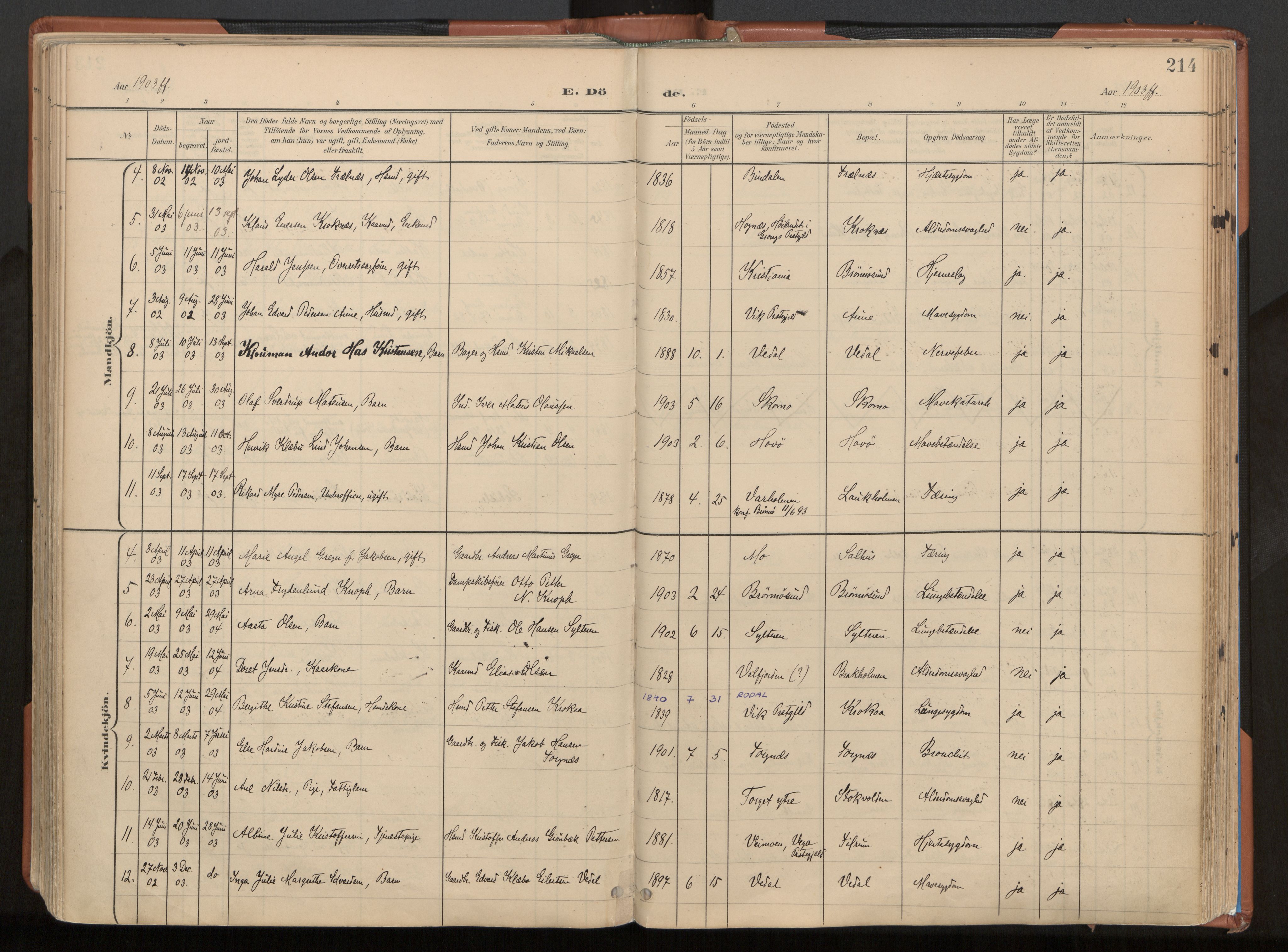 Ministerialprotokoller, klokkerbøker og fødselsregistre - Nordland, SAT/A-1459/813/L0201: Parish register (official) no. 813A11, 1901-1918, p. 214