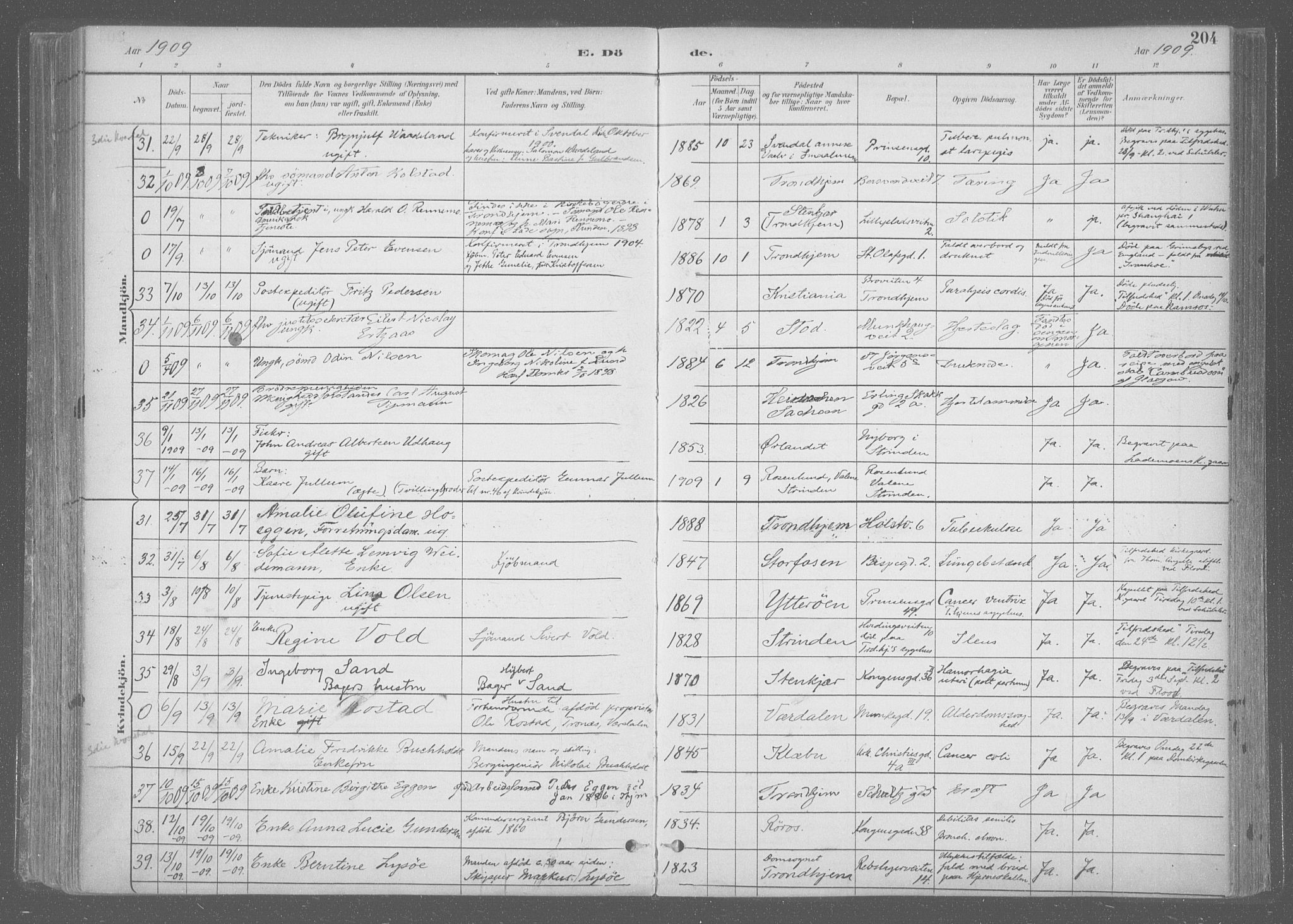 Ministerialprotokoller, klokkerbøker og fødselsregistre - Sør-Trøndelag, SAT/A-1456/601/L0064: Parish register (official) no. 601A31, 1891-1911, p. 204
