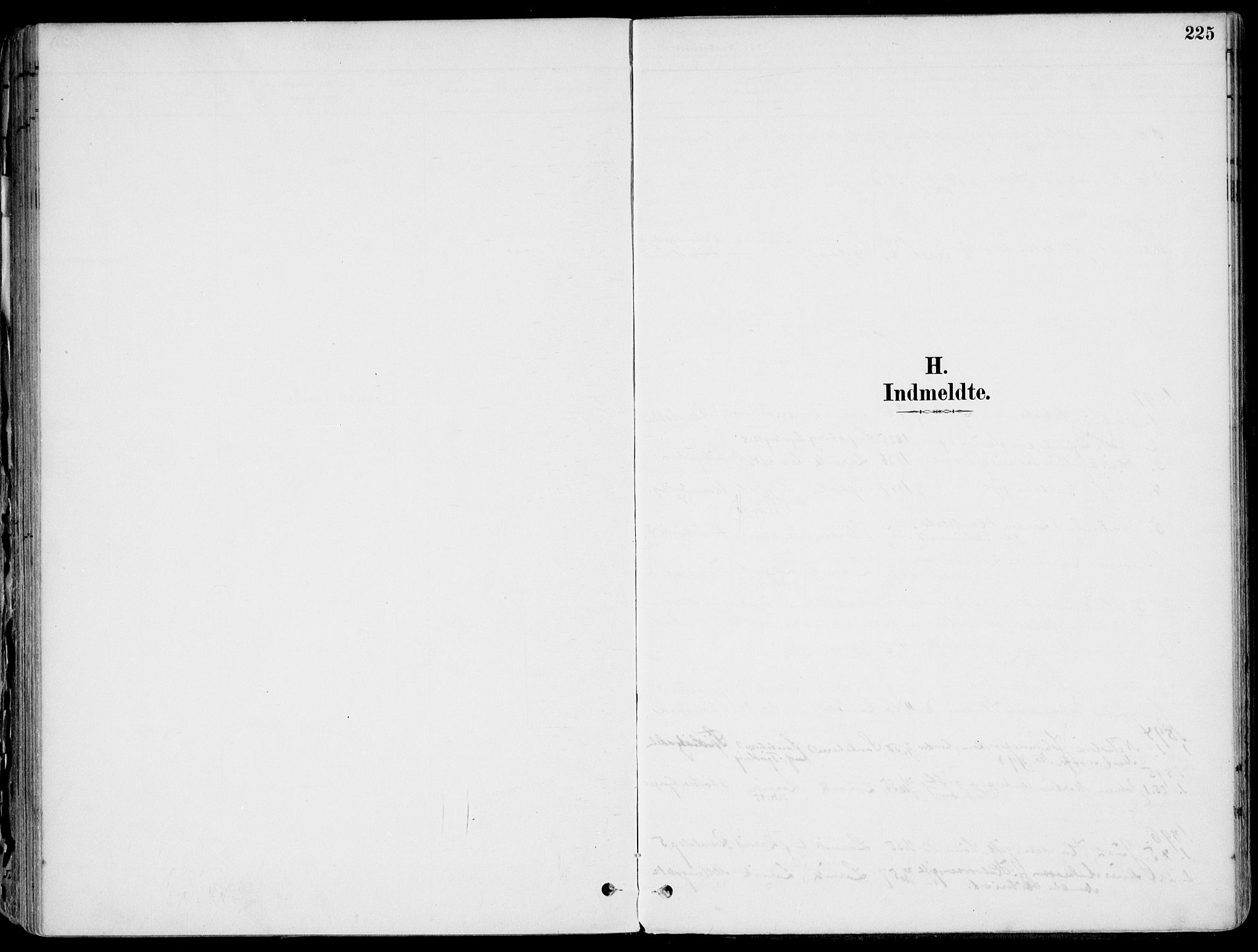 Larvik kirkebøker, AV/SAKO-A-352/F/Fb/L0004: Parish register (official) no. II 4, 1884-1902, p. 225