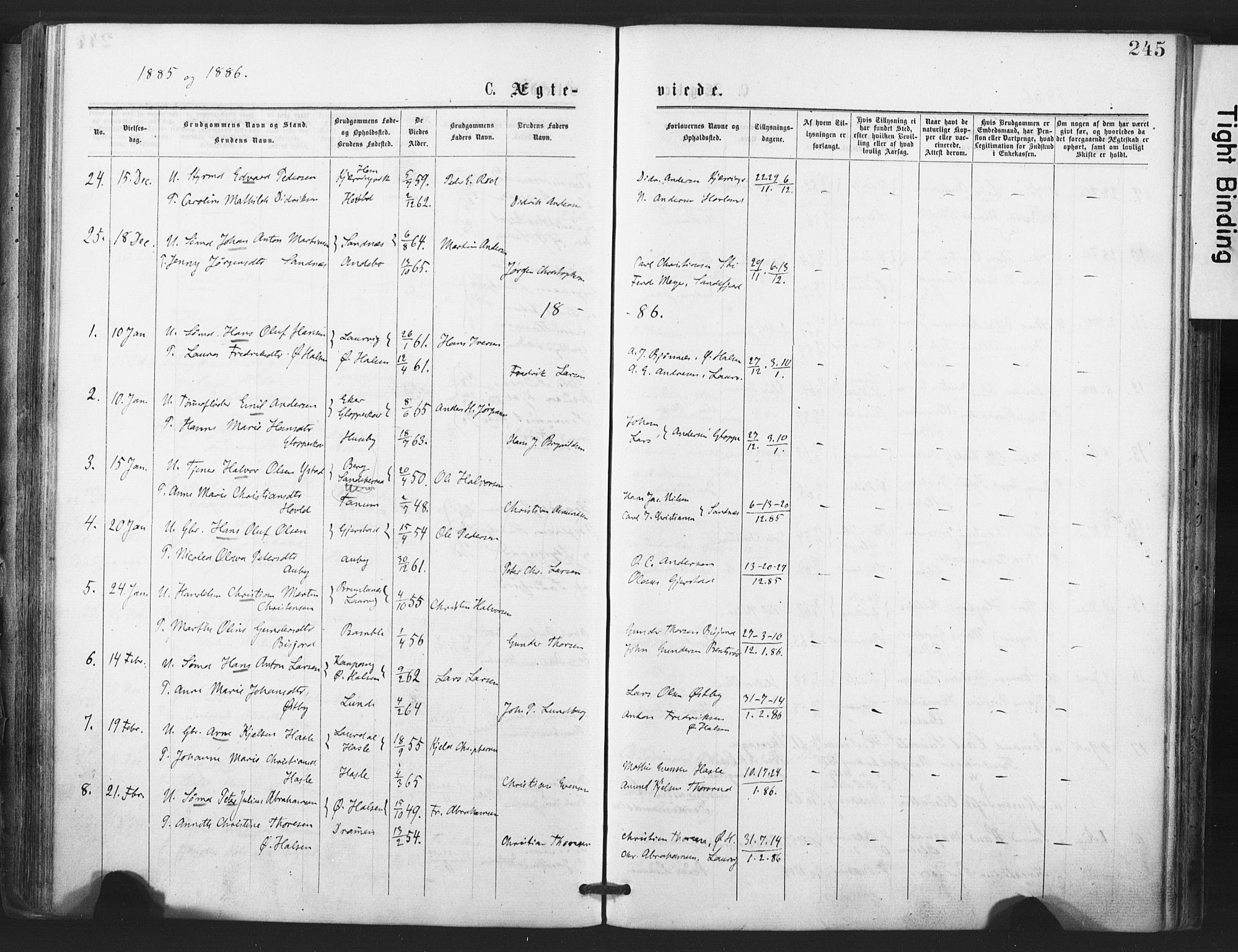 Tjølling kirkebøker, SAKO/A-60/F/Fa/L0008: Parish register (official) no. 8, 1877-1886, p. 245