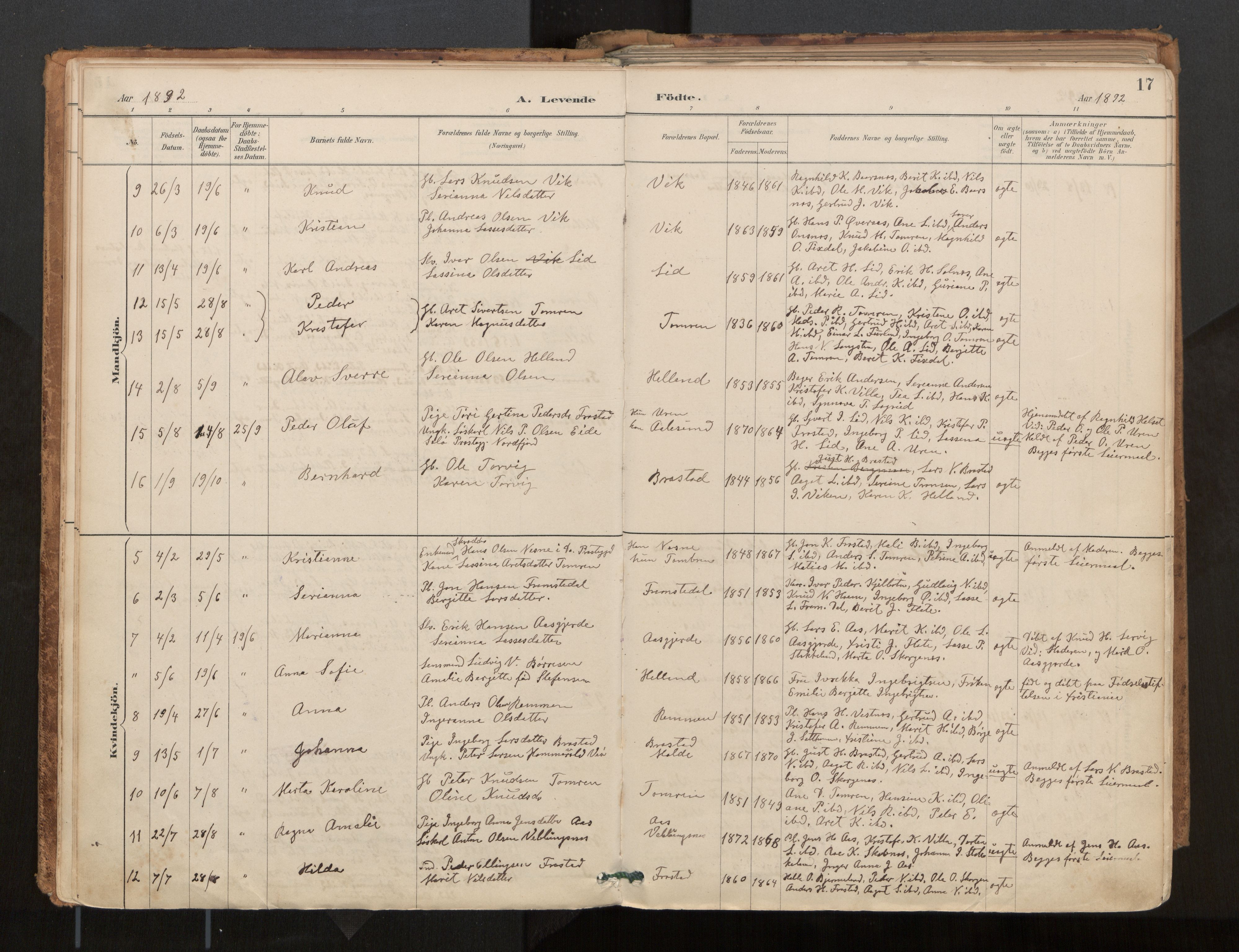 Ministerialprotokoller, klokkerbøker og fødselsregistre - Møre og Romsdal, AV/SAT-A-1454/539/L0531: Parish register (official) no. 539A04, 1887-1913, p. 17