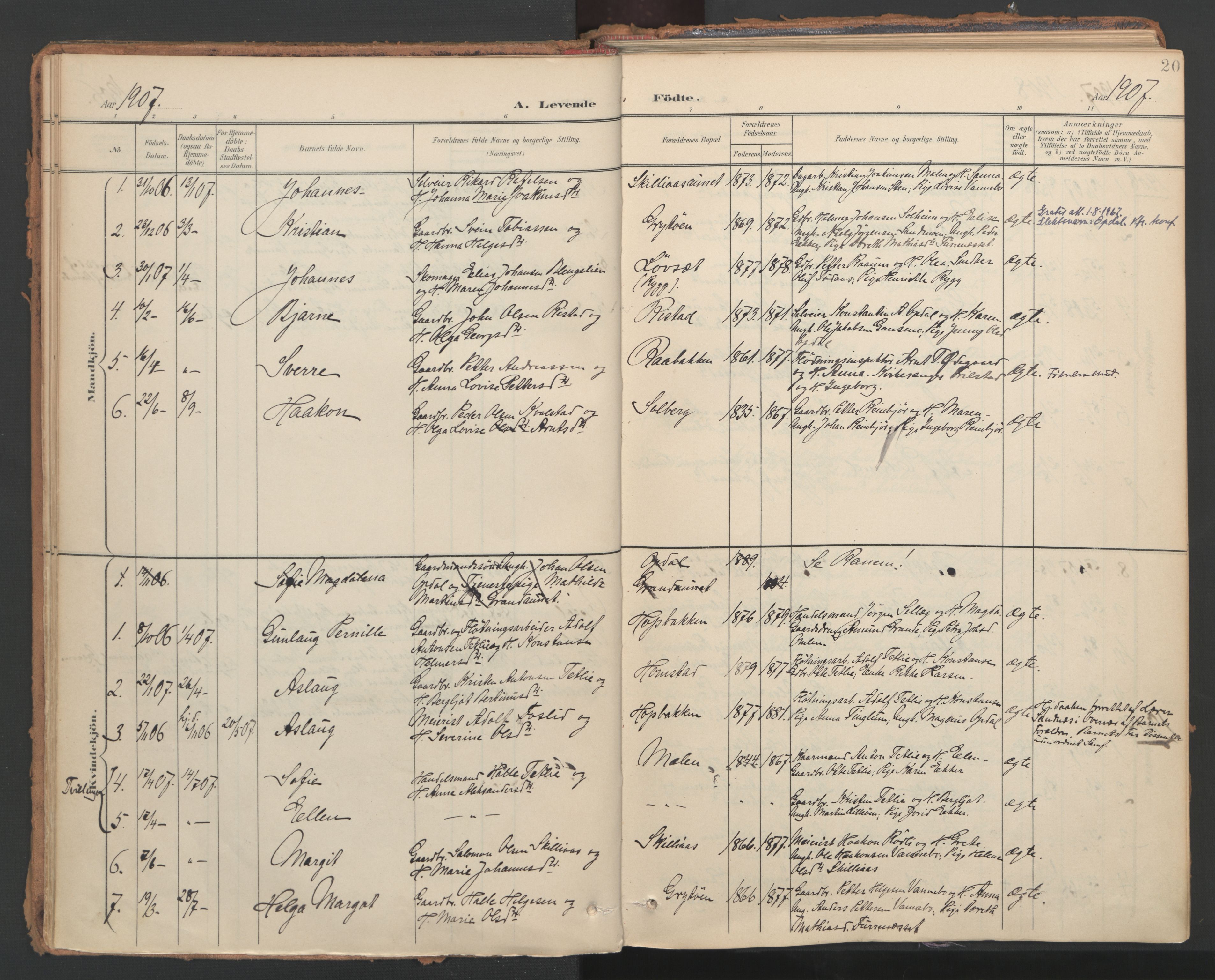 Ministerialprotokoller, klokkerbøker og fødselsregistre - Nord-Trøndelag, AV/SAT-A-1458/766/L0564: Parish register (official) no. 767A02, 1900-1932, p. 20