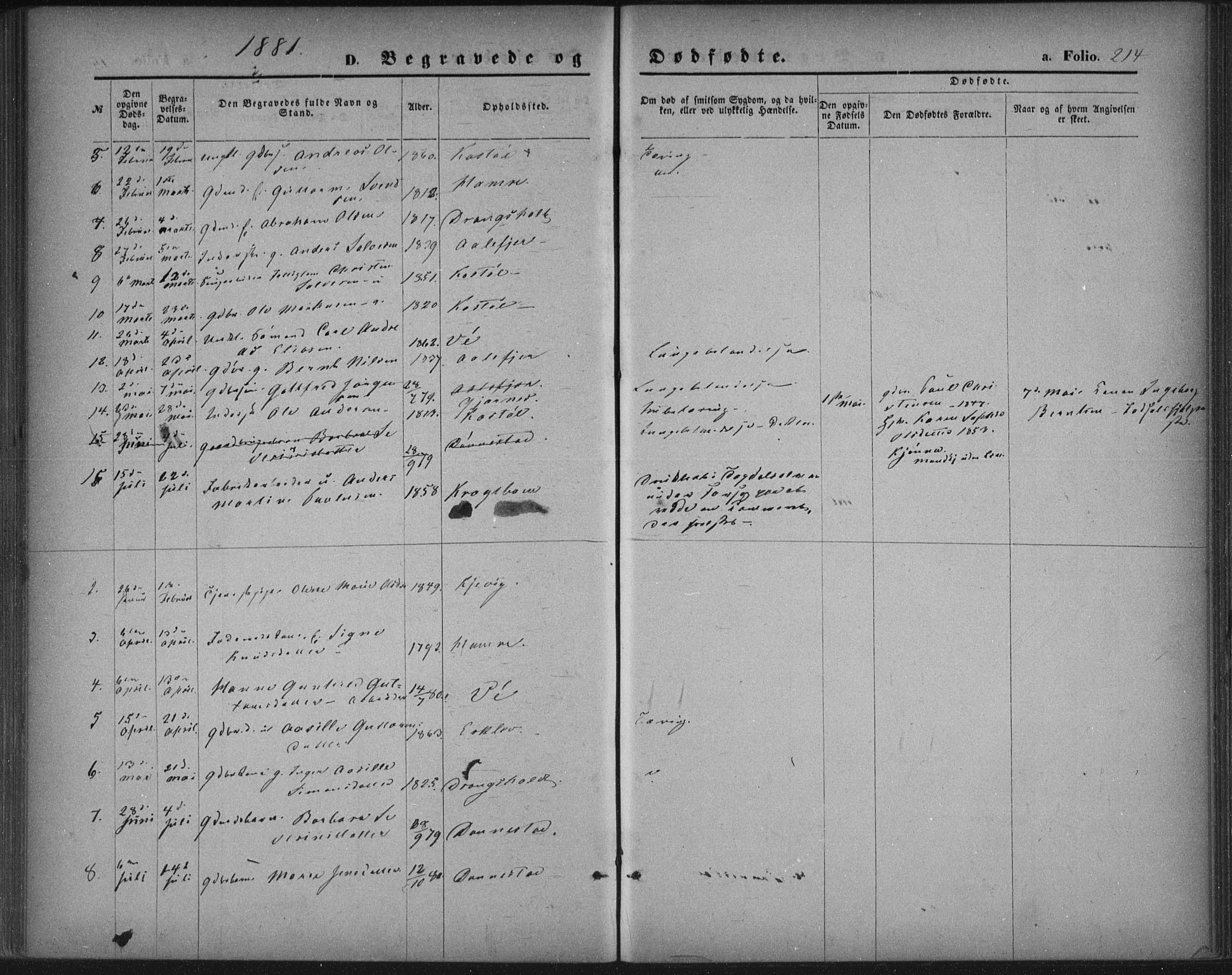 Tveit sokneprestkontor, AV/SAK-1111-0043/F/Fa/L0006: Parish register (official) no. A 6, 1872-1886, p. 214