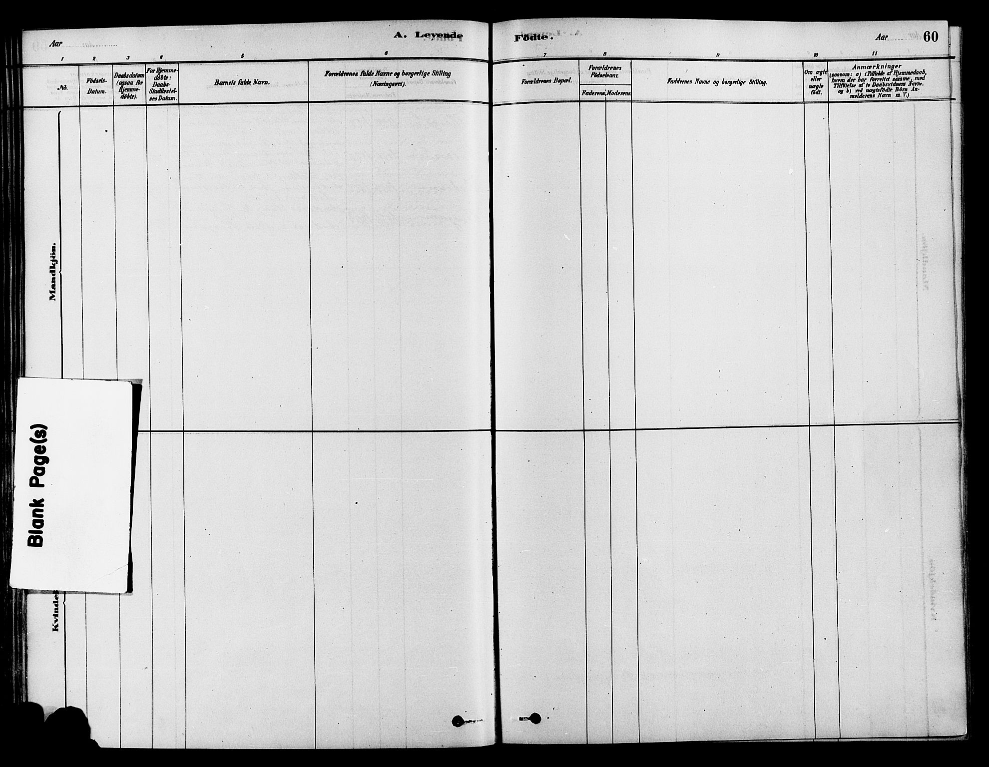 Søndre Land prestekontor, SAH/PREST-122/K/L0002: Parish register (official) no. 2, 1878-1894, p. 60