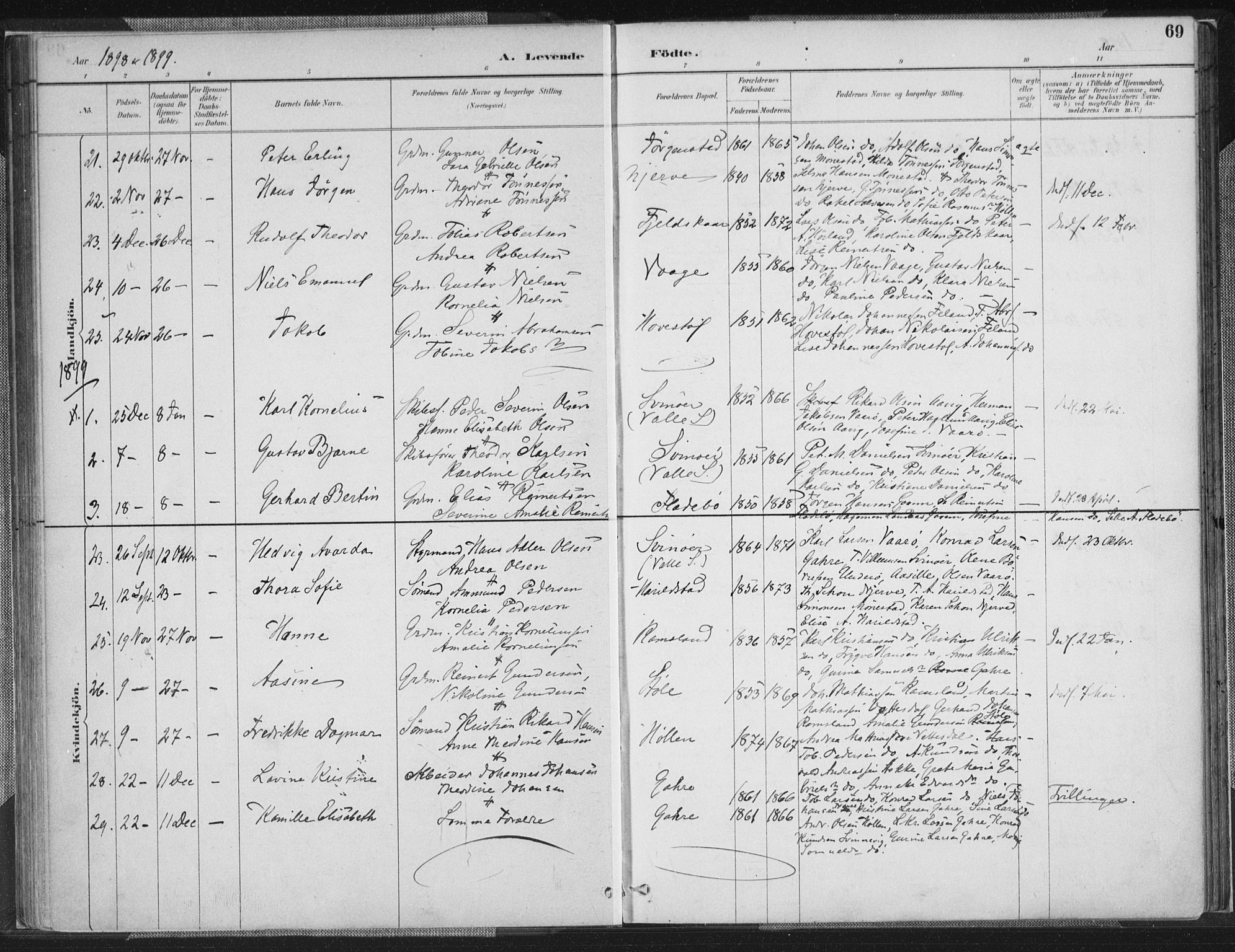 Sør-Audnedal sokneprestkontor, AV/SAK-1111-0039/F/Fa/Faa/L0004: Parish register (official) no. A 4, 1884-1909, p. 69