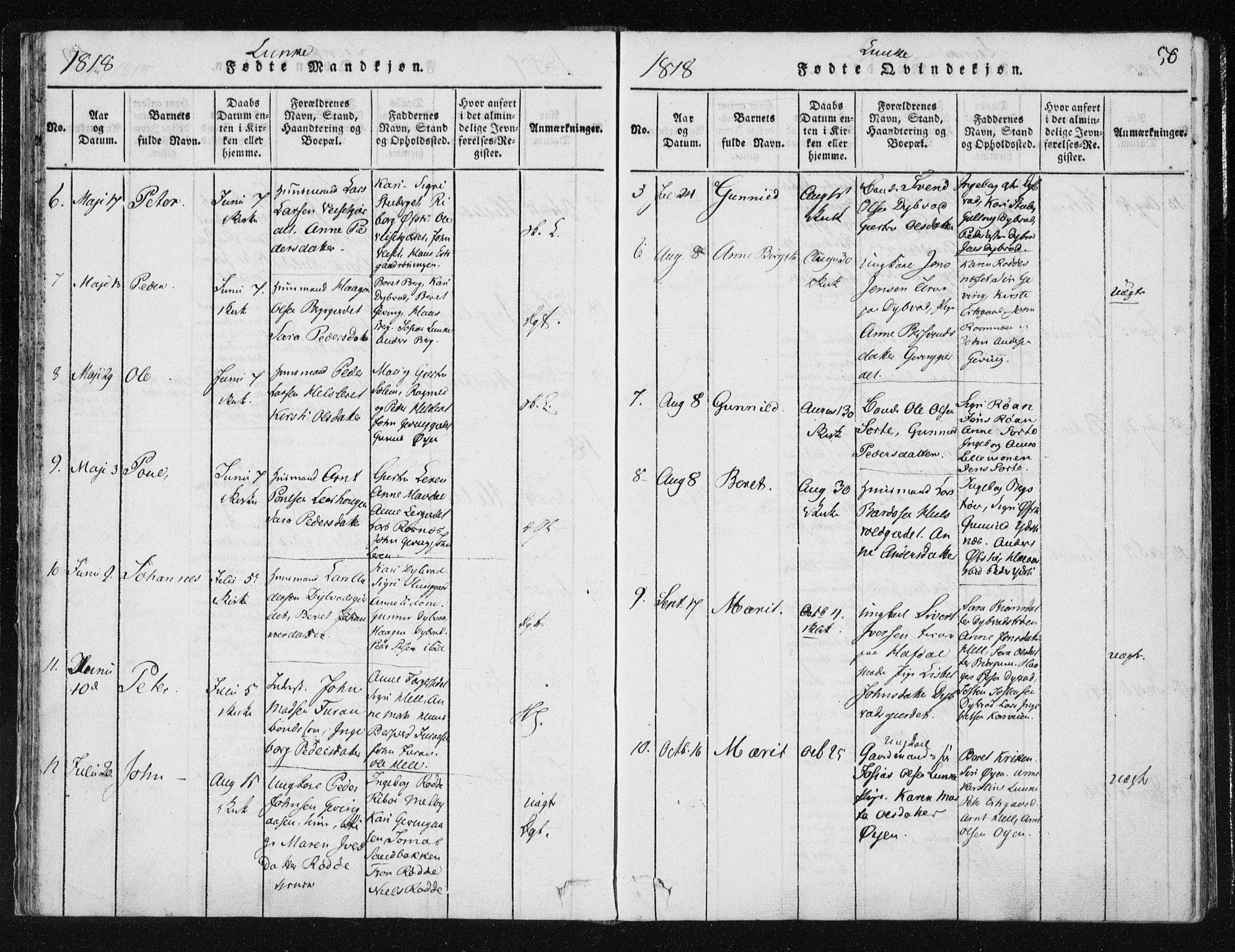 Ministerialprotokoller, klokkerbøker og fødselsregistre - Nord-Trøndelag, AV/SAT-A-1458/709/L0061: Parish register (official) no. 709A08 /3, 1815-1819, p. 50