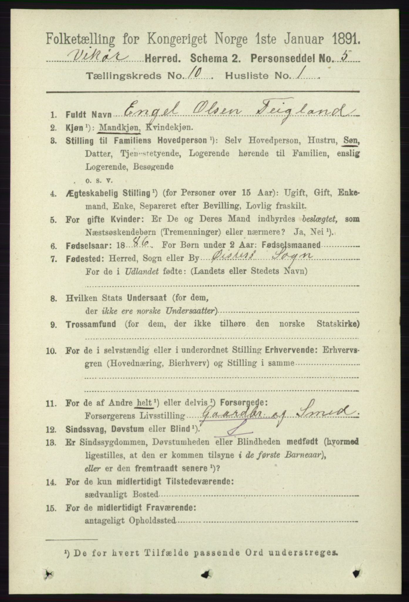 RA, 1891 census for 1238 Vikør, 1891, p. 2939