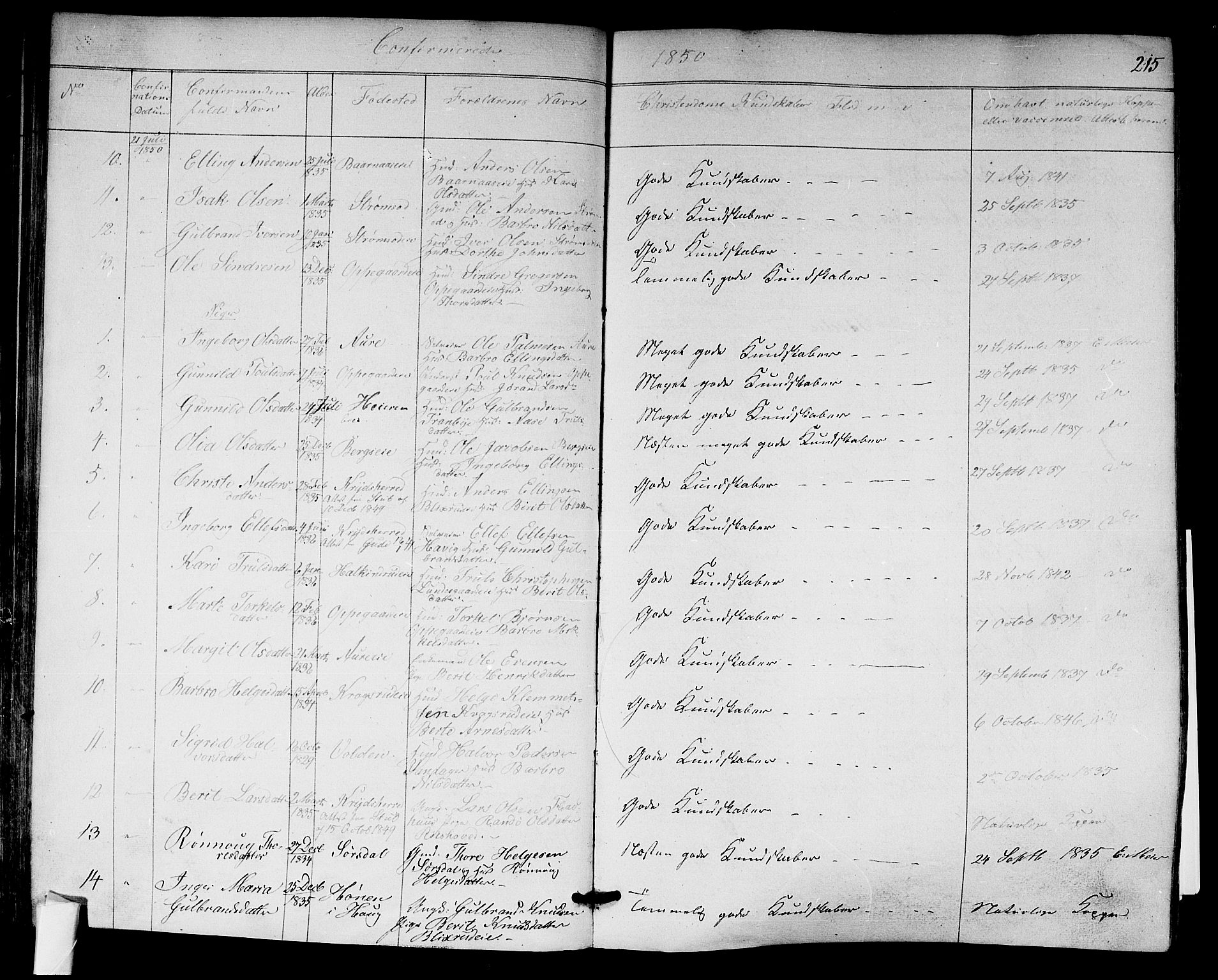 Norderhov kirkebøker, AV/SAKO-A-237/F/Fa/L0011: Parish register (official) no. 11, 1847-1856, p. 215