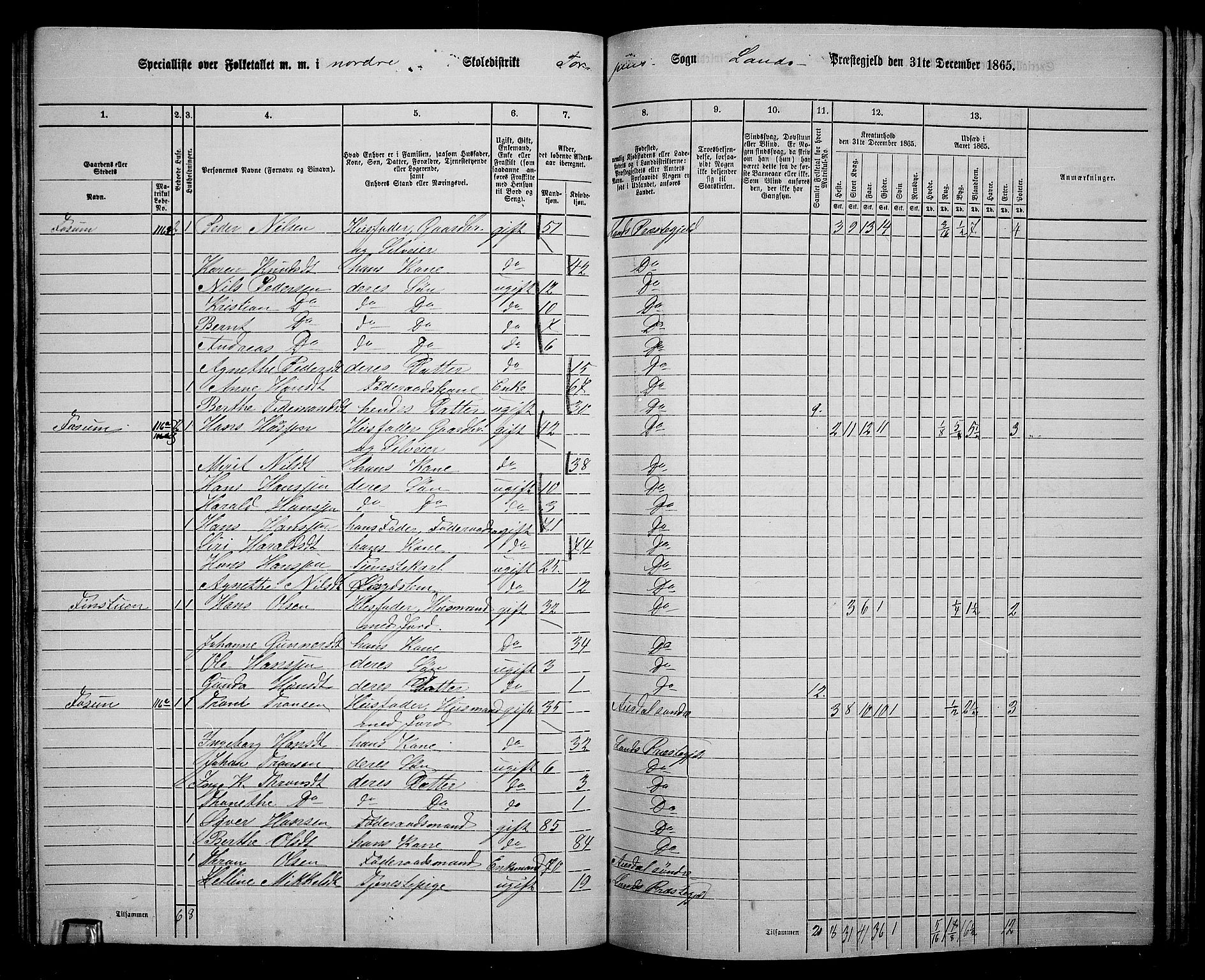 RA, 1865 census for Land, 1865, p. 159