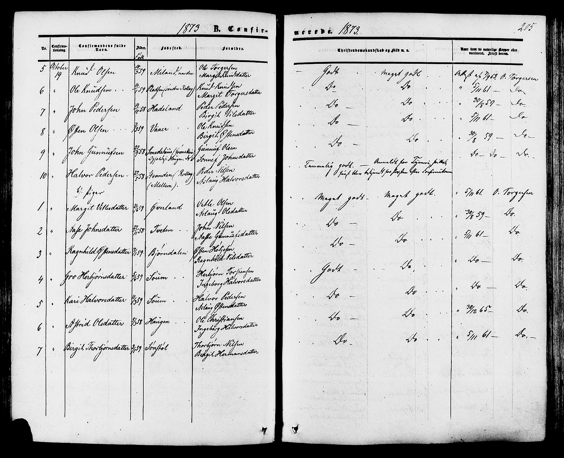 Tinn kirkebøker, SAKO/A-308/F/Fa/L0006: Parish register (official) no. I 6, 1857-1878, p. 205