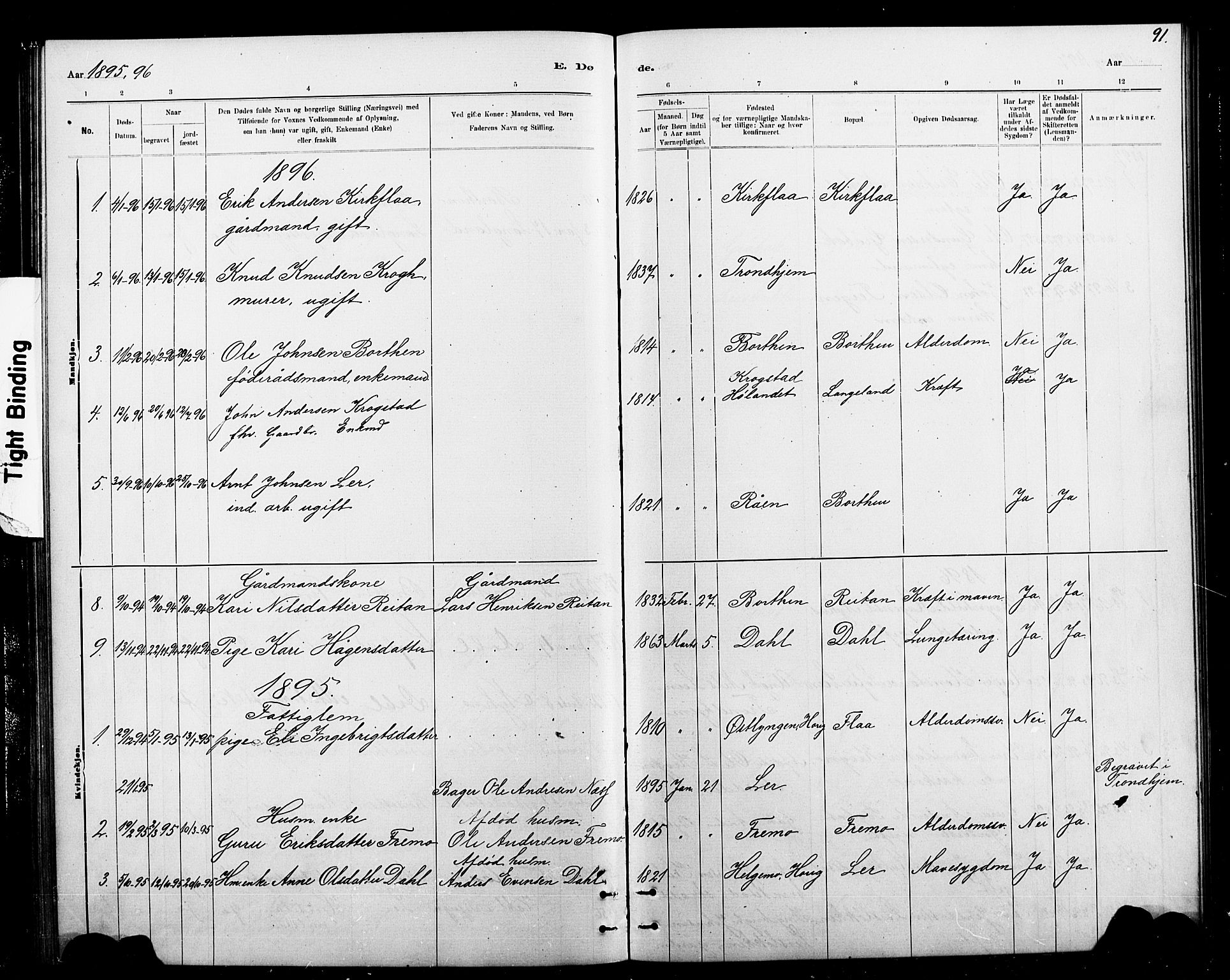 Ministerialprotokoller, klokkerbøker og fødselsregistre - Sør-Trøndelag, SAT/A-1456/693/L1123: Parish register (copy) no. 693C04, 1887-1910, p. 91