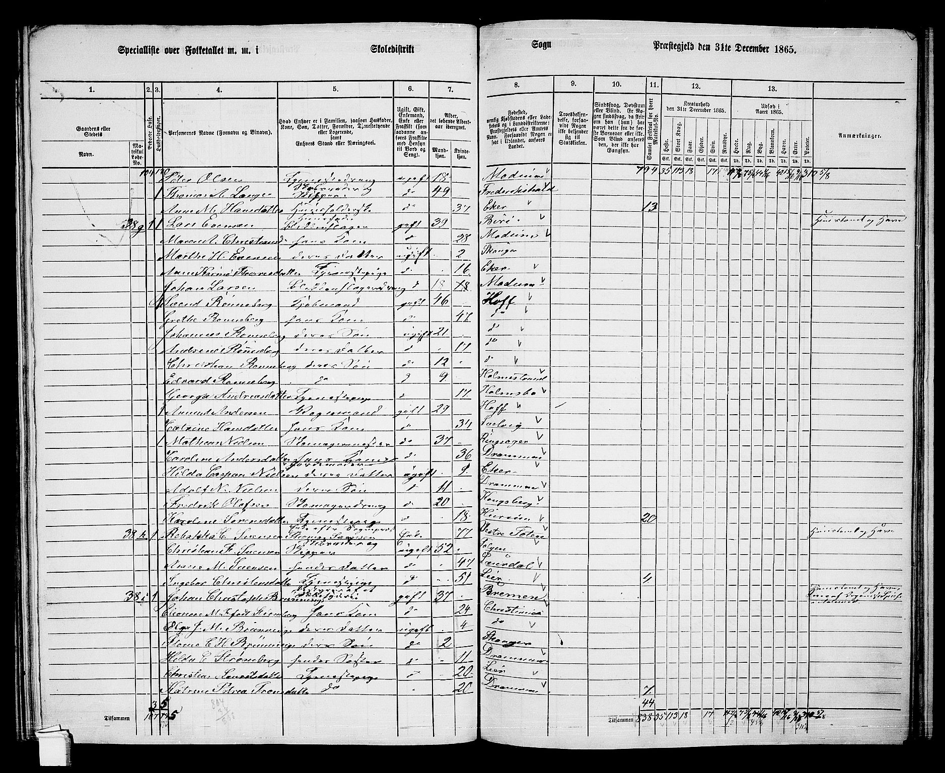 RA, 1865 census for Skoger, 1865, p. 144