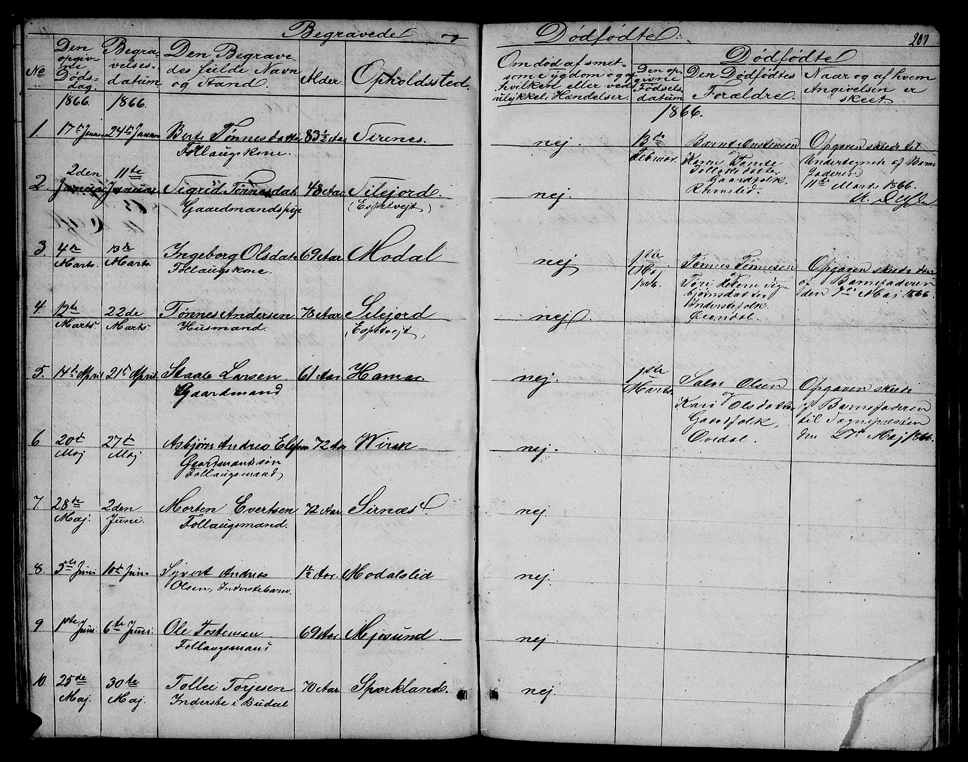 Bakke sokneprestkontor, SAK/1111-0002/F/Fb/Fba/L0001: Parish register (copy) no. B 1, 1849-1879, p. 207