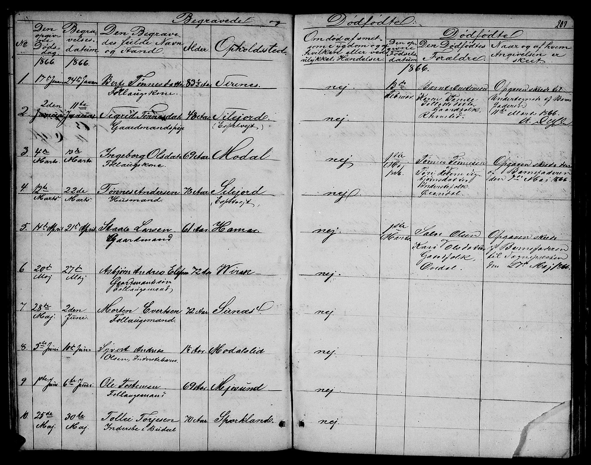 Bakke sokneprestkontor, AV/SAK-1111-0002/F/Fb/Fba/L0001: Parish register (copy) no. B 1, 1849-1879, p. 207