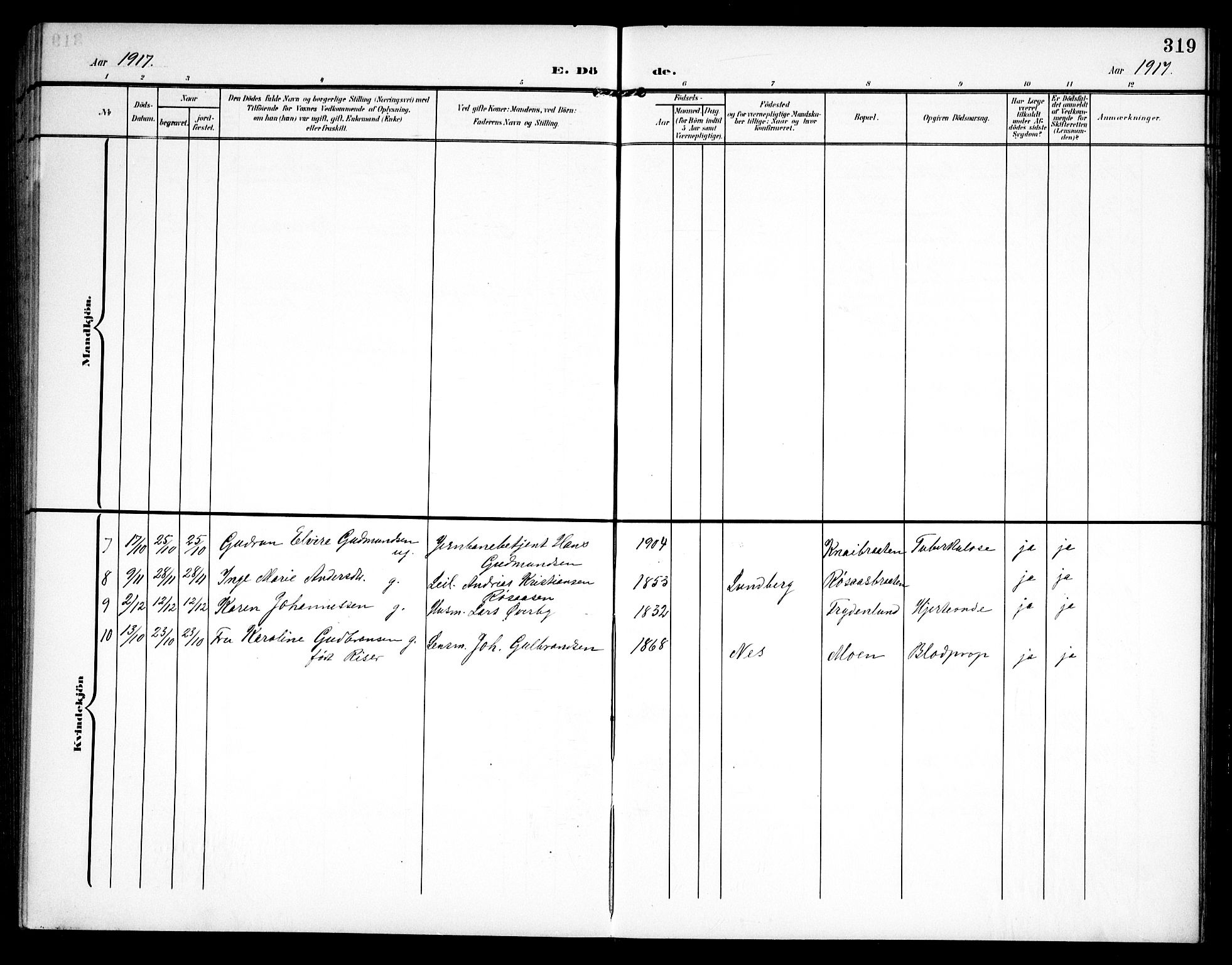 Hurdal prestekontor Kirkebøker, AV/SAO-A-10889/G/Ga/L0001: Parish register (copy) no. I 1, 1902-1934, p. 319