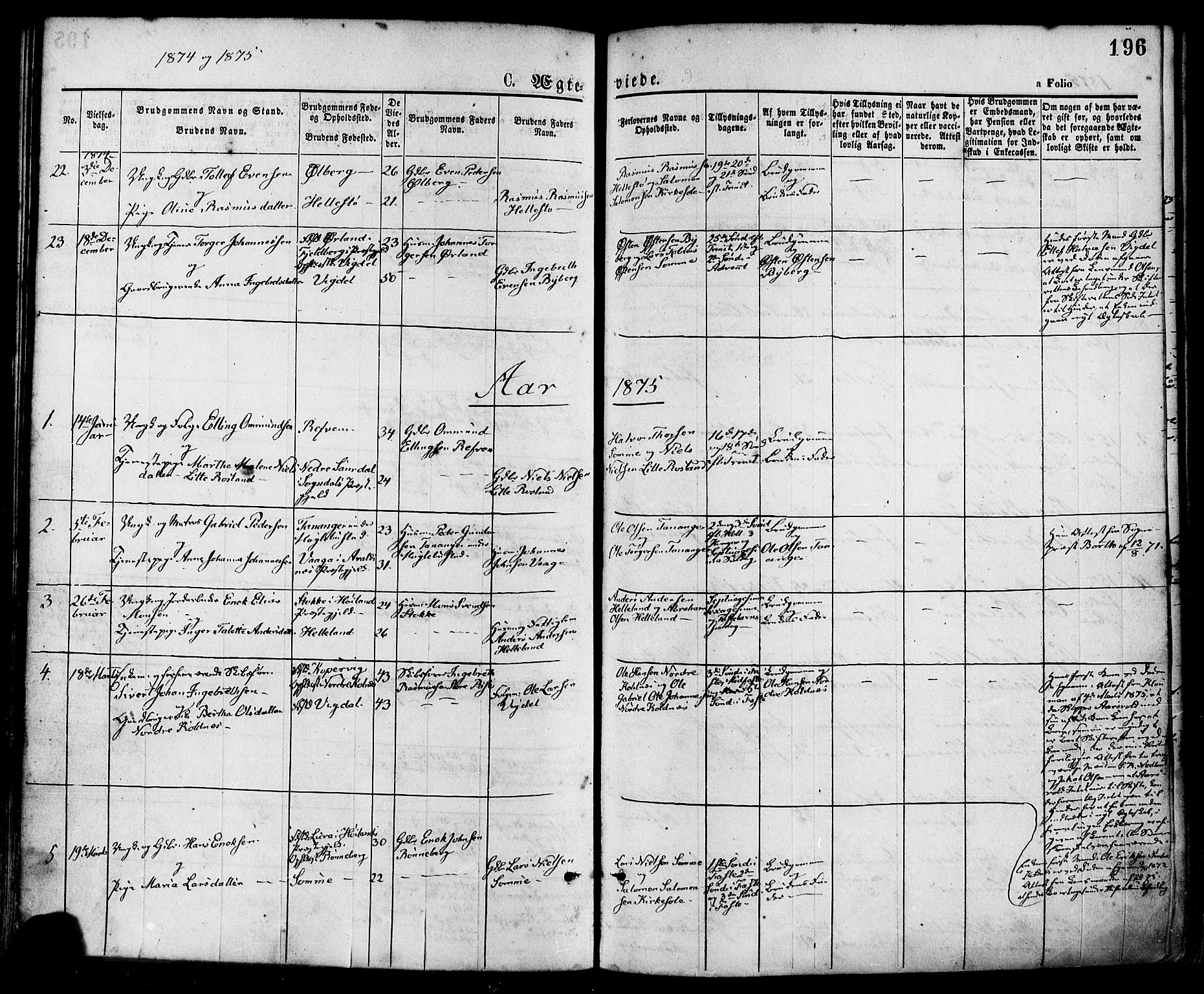 Håland sokneprestkontor, SAST/A-101802/001/30BA/L0009: Parish register (official) no. A 8, 1871-1882, p. 196