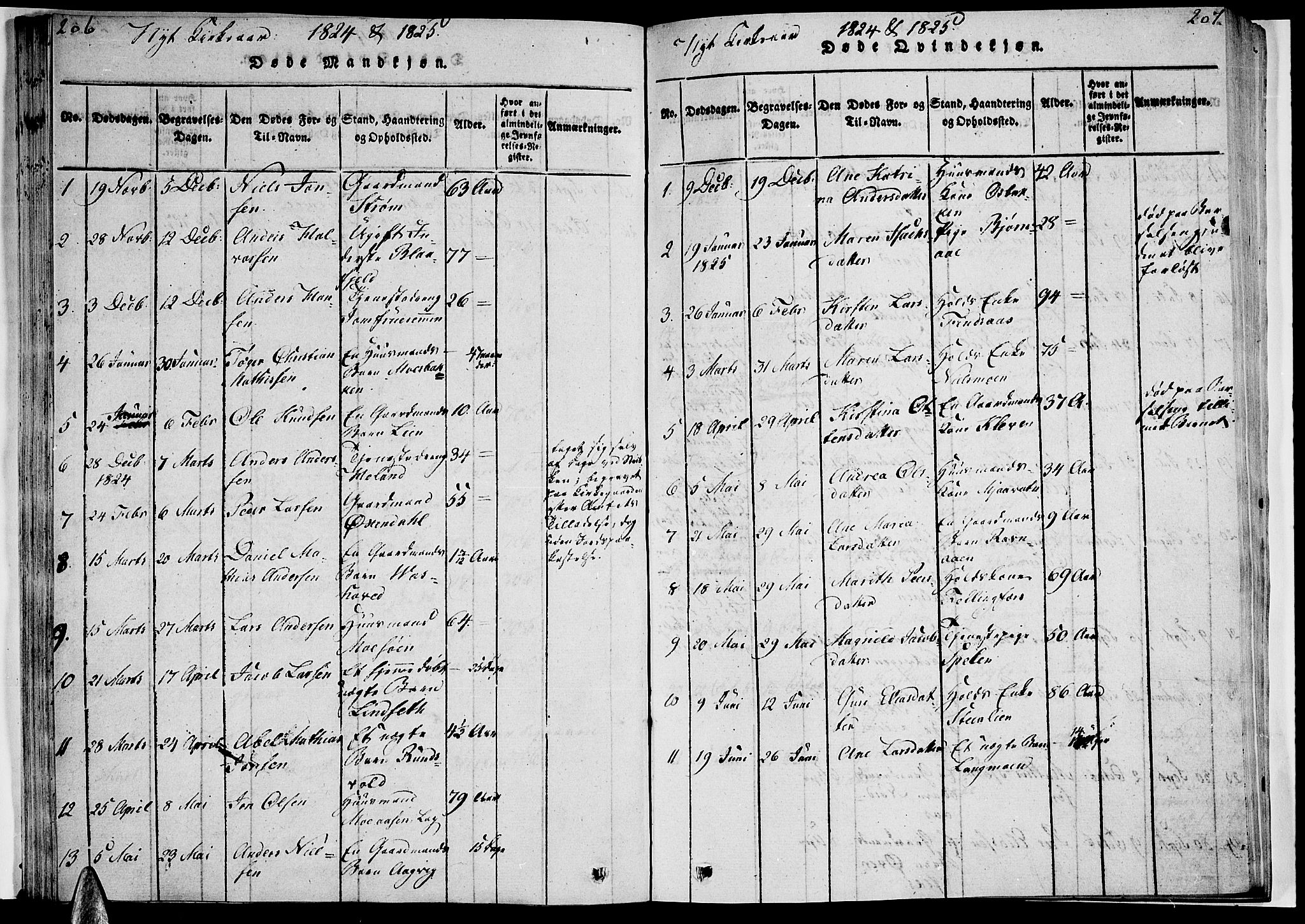 Ministerialprotokoller, klokkerbøker og fødselsregistre - Nordland, AV/SAT-A-1459/820/L0288: Parish register (official) no. 820A09, 1820-1825, p. 206-207