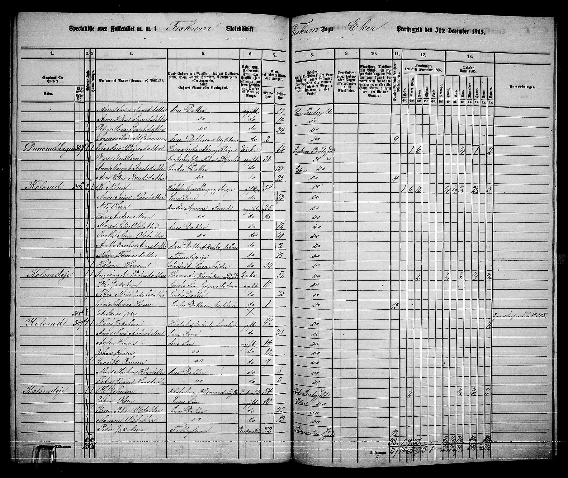 RA, 1865 census for Eiker, 1865, p. 519