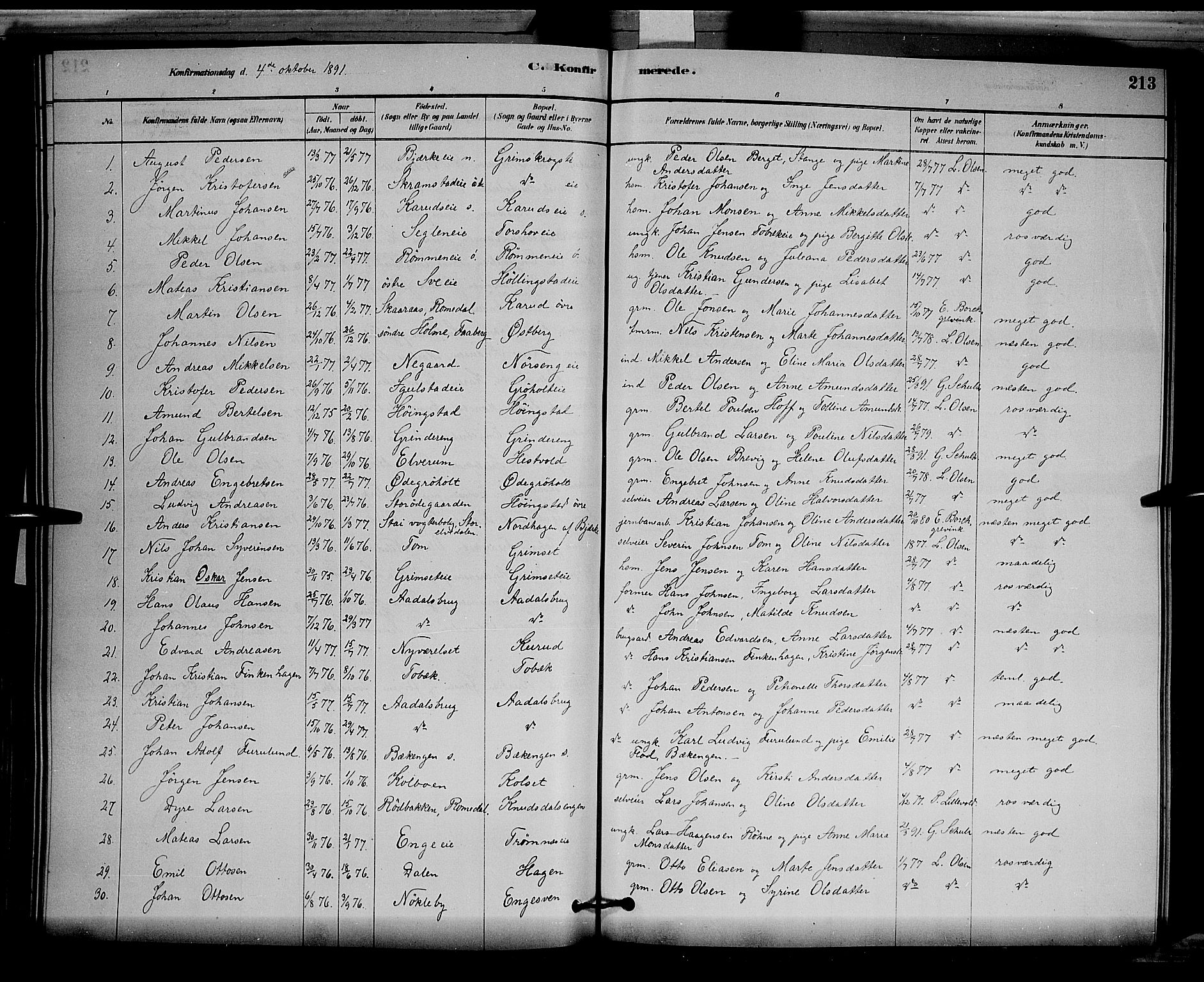 Løten prestekontor, SAH/PREST-022/L/La/L0005: Parish register (copy) no. 5, 1878-1891, p. 213