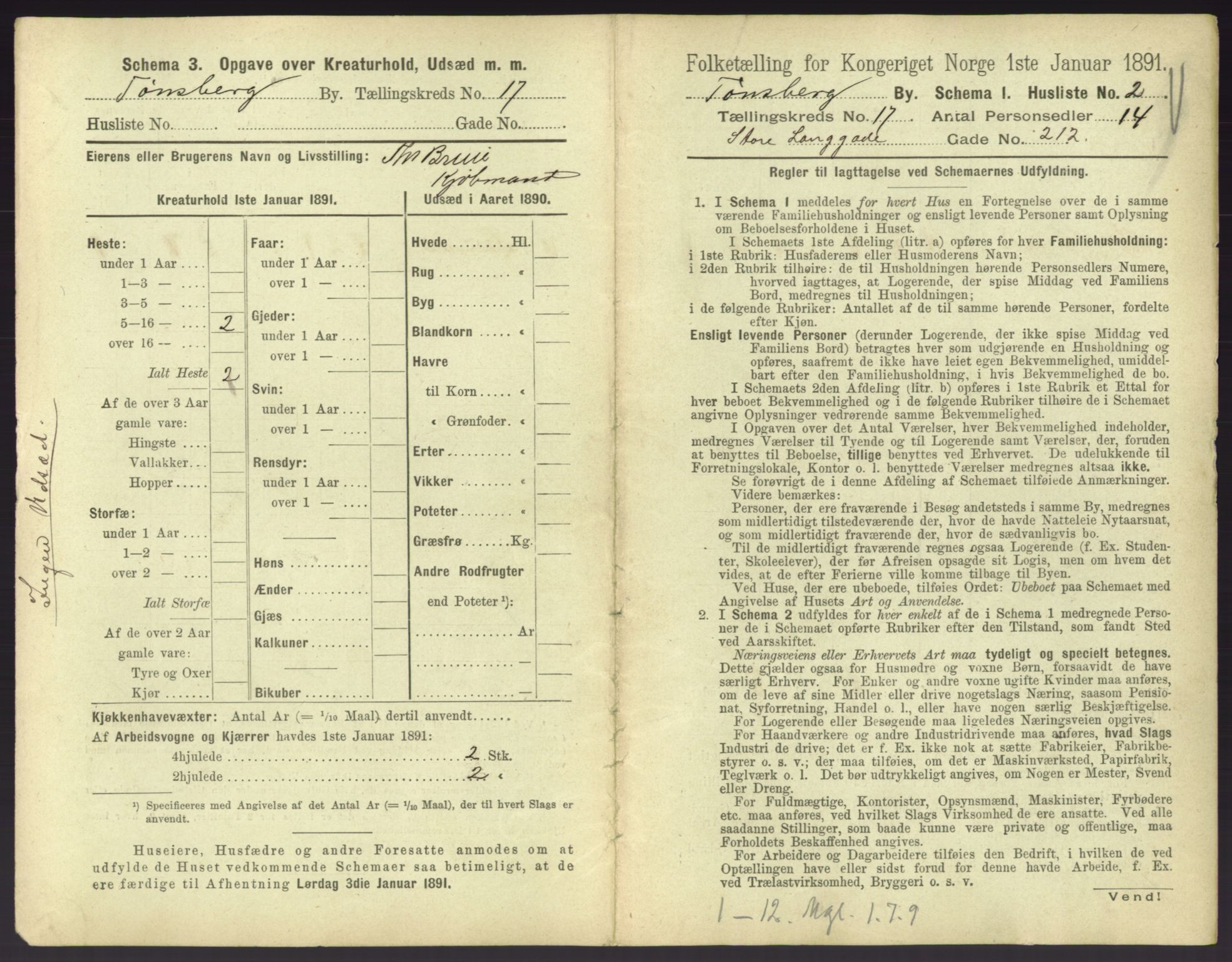 RA, 1891 census for 0705 Tønsberg, 1891, p. 600