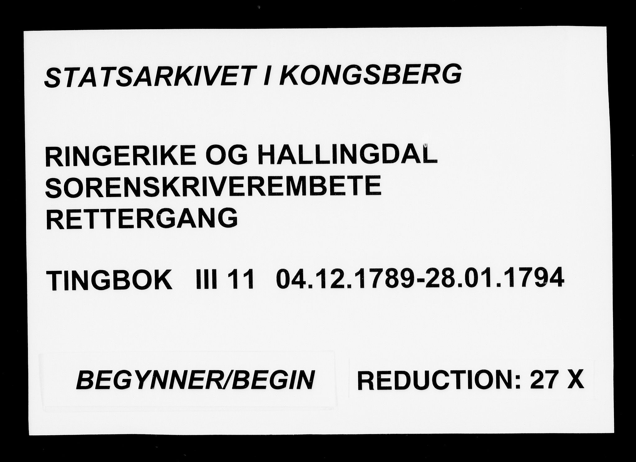 Ringerike og Hallingdal sorenskriveri, AV/SAKO-A-81/F/Fa/Fac/L0011: Tingbok - Ringerike, 1789-1794