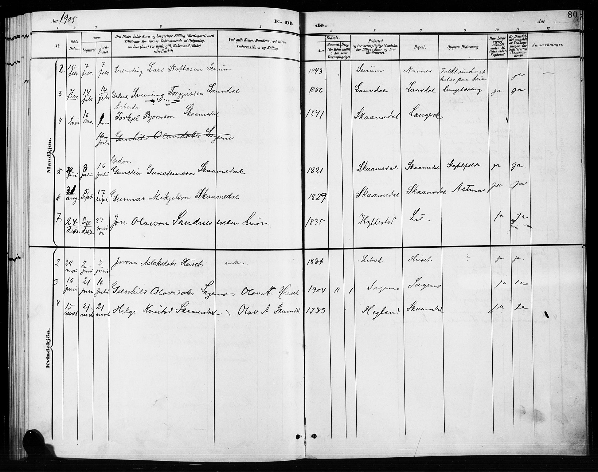 Bygland sokneprestkontor, AV/SAK-1111-0006/F/Fb/Fbb/L0004: Parish register (copy) no. B 4, 1902-1920, p. 80